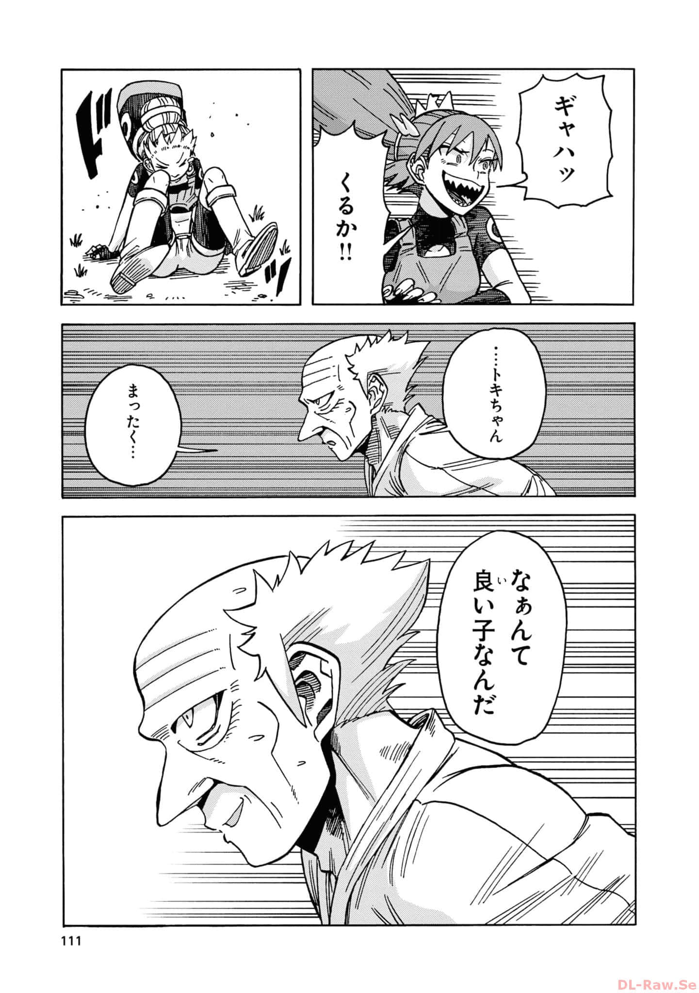 Page 113