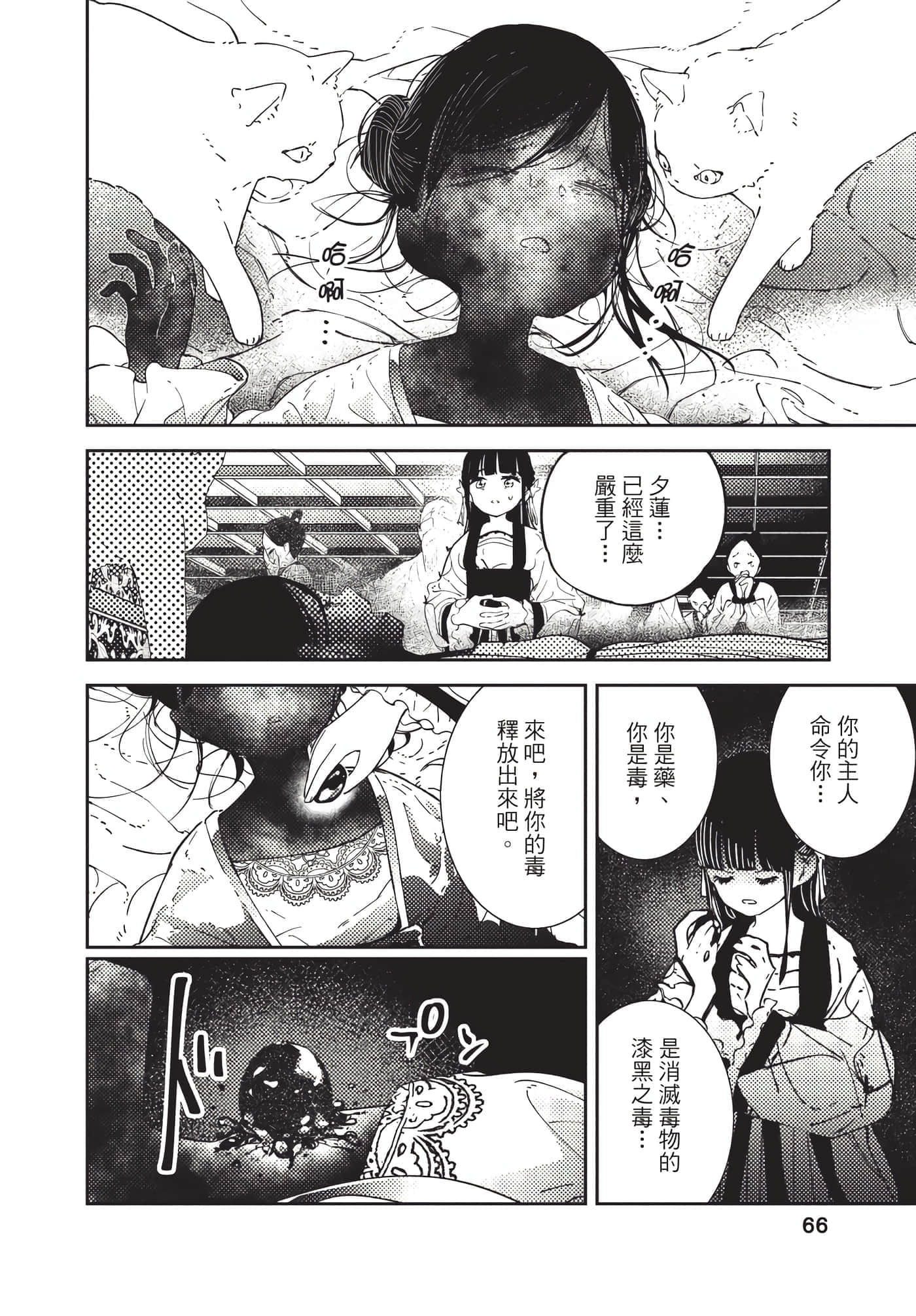 Page 66