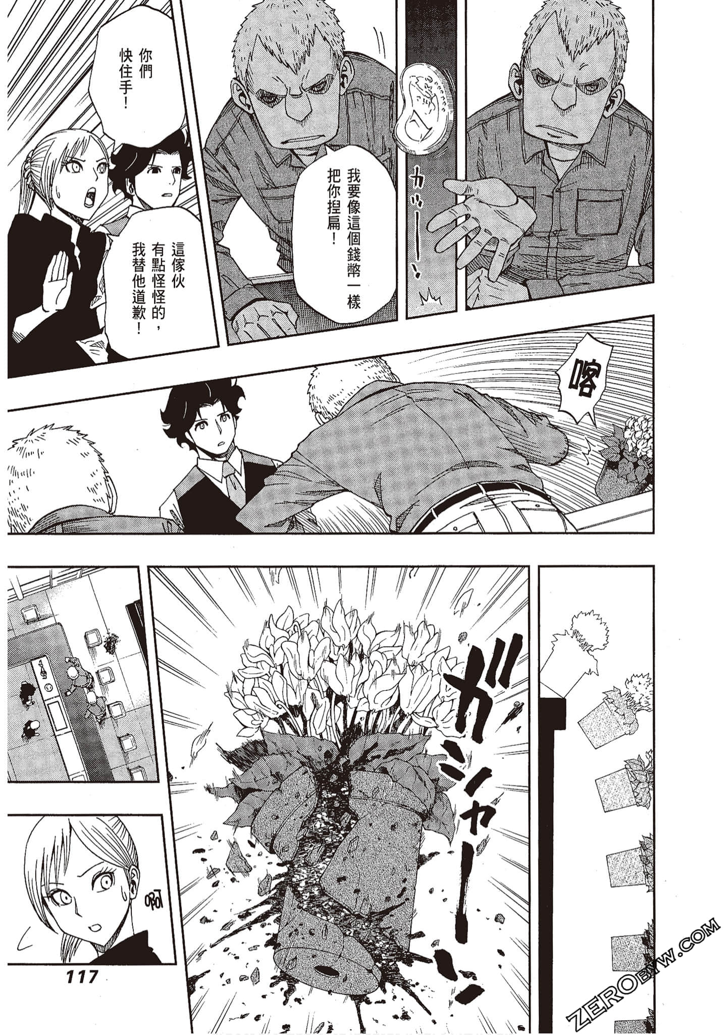 Page 117