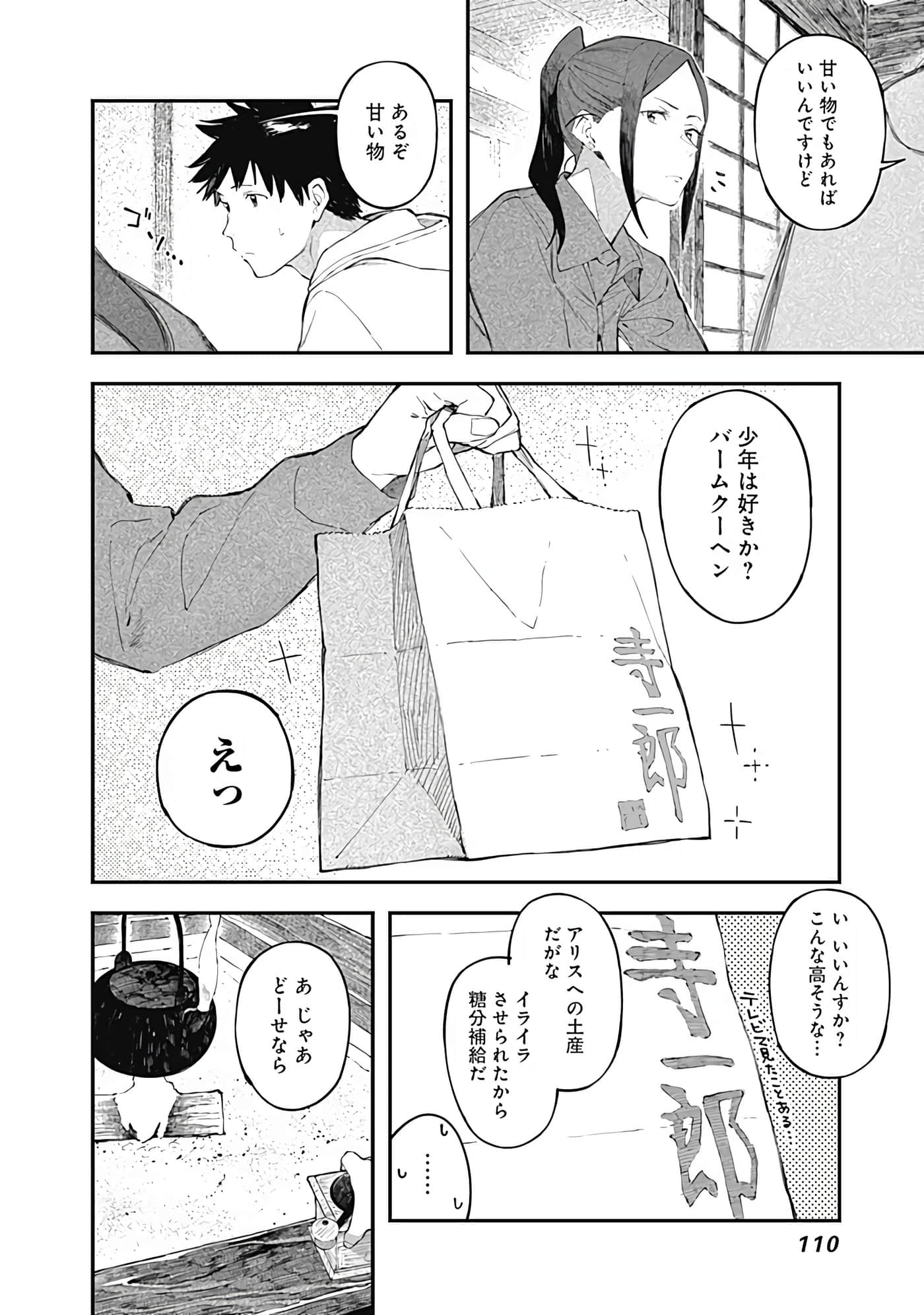 Page 111