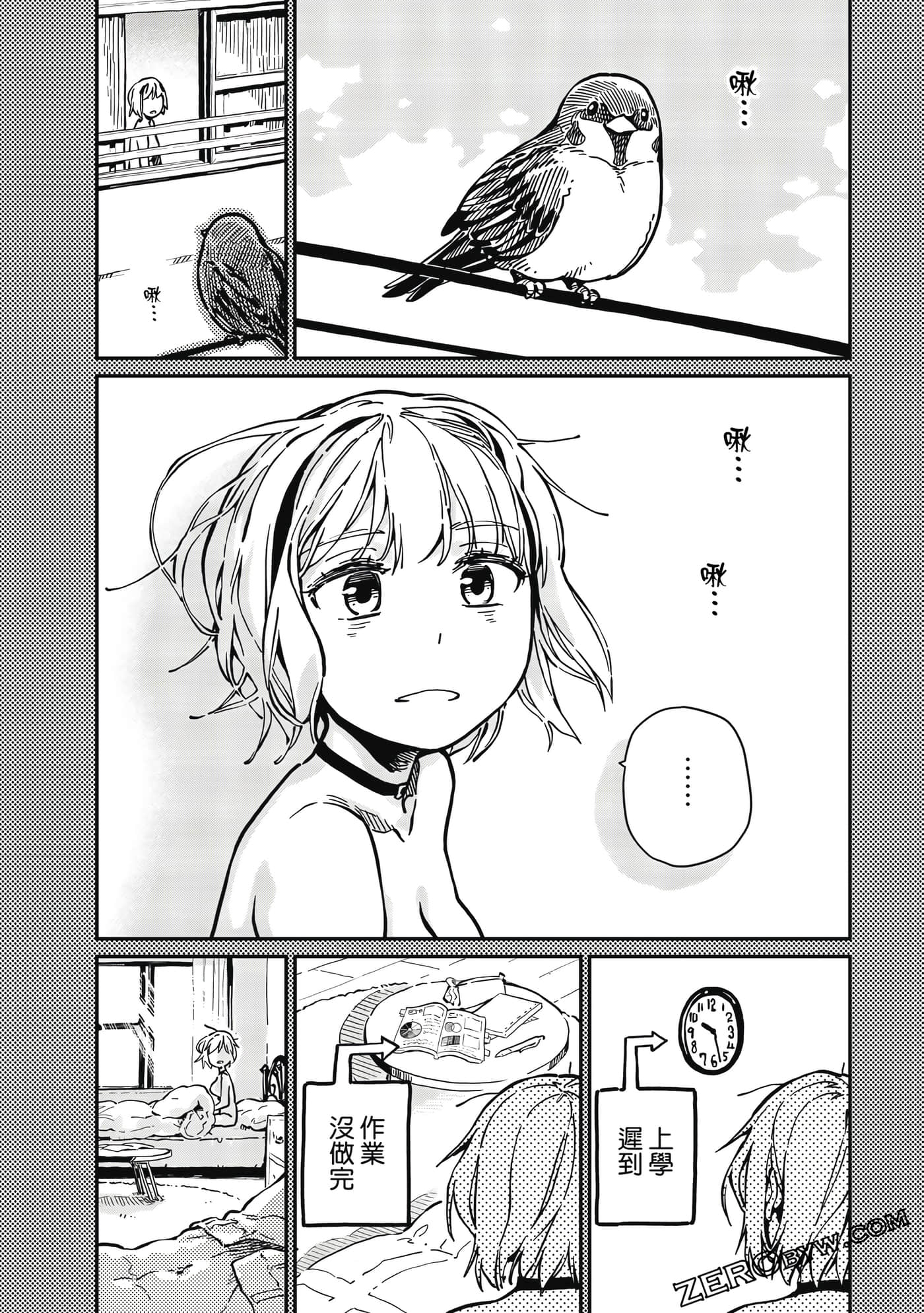 第 33 页
