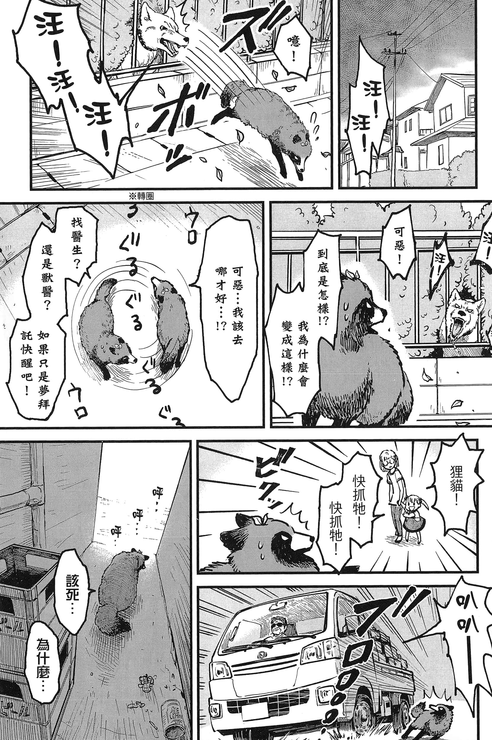 第 43 页