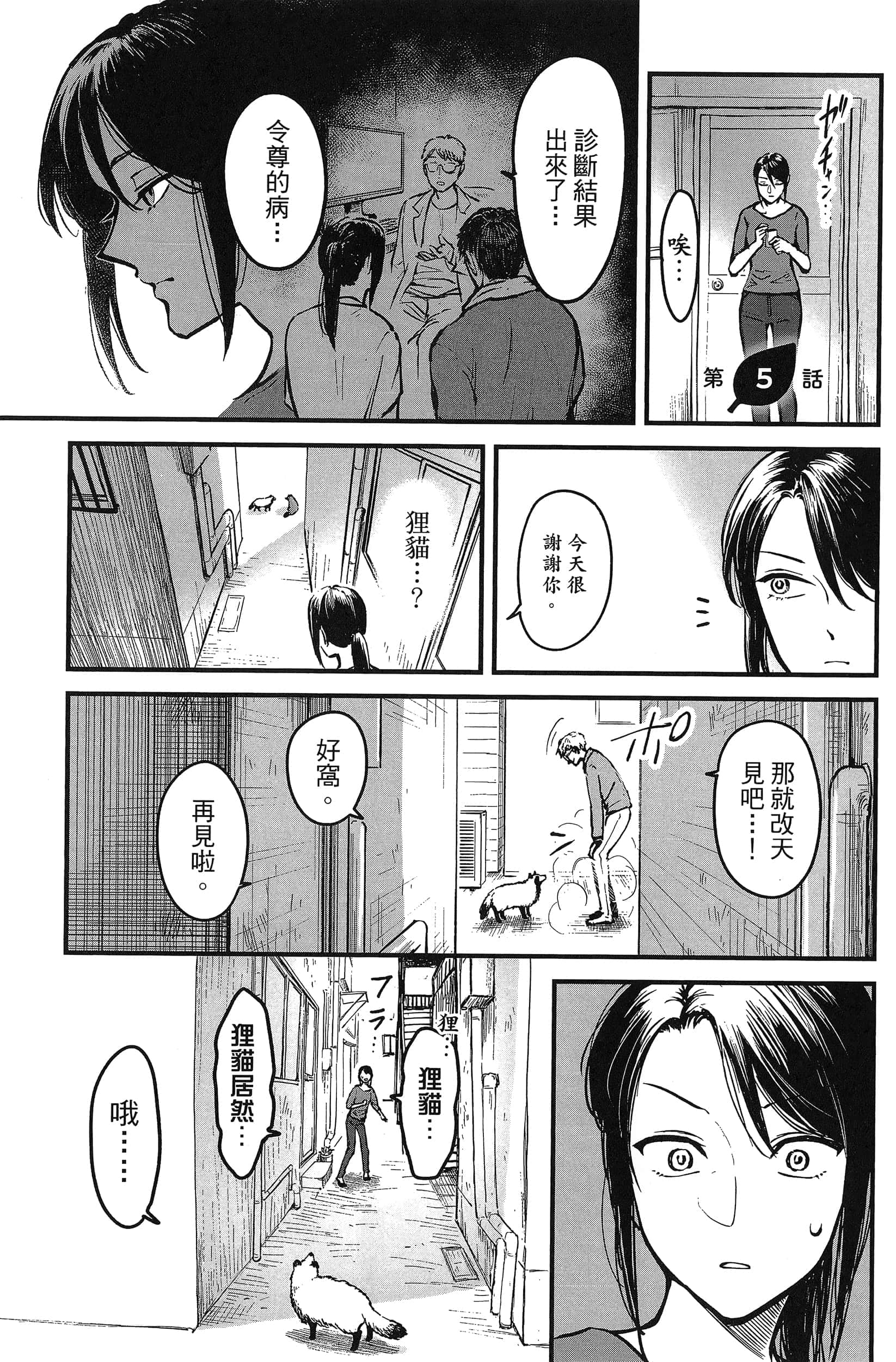 第 53 页