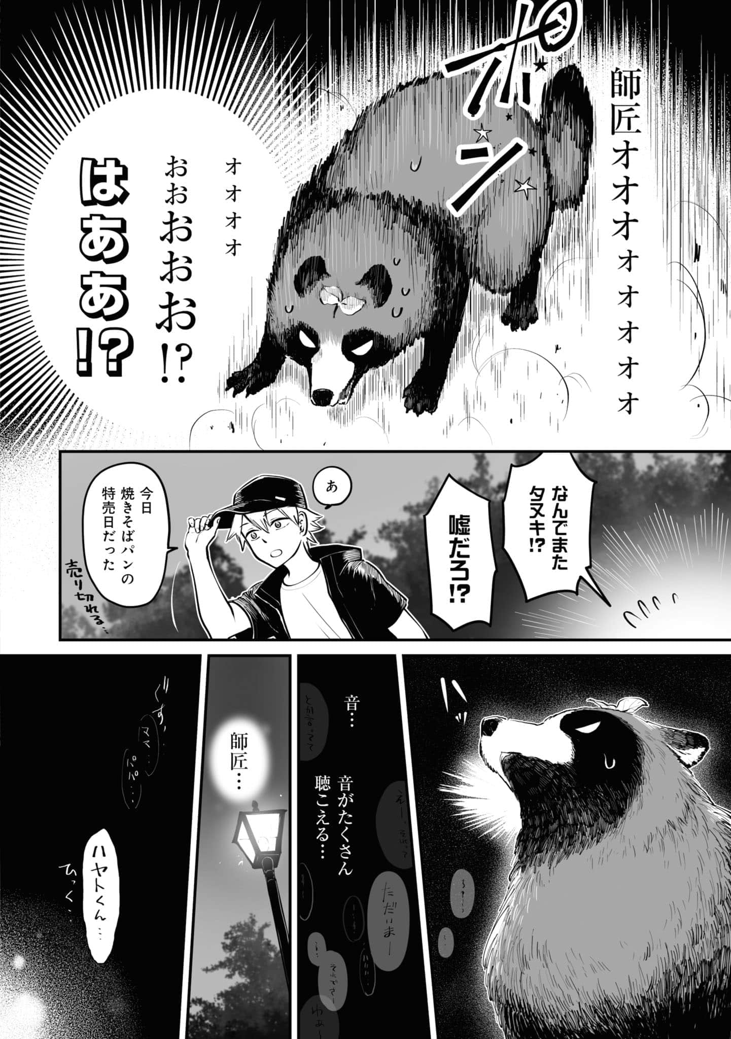 第 111 页