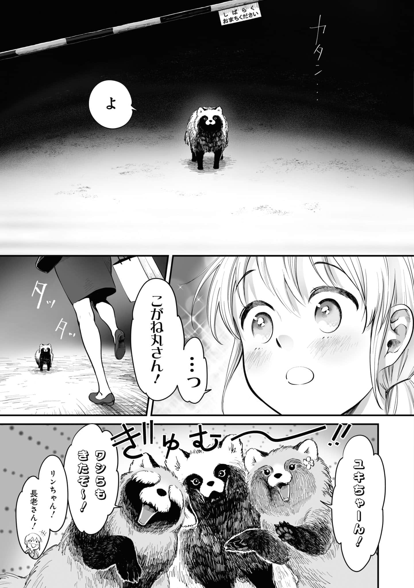 第 38 页