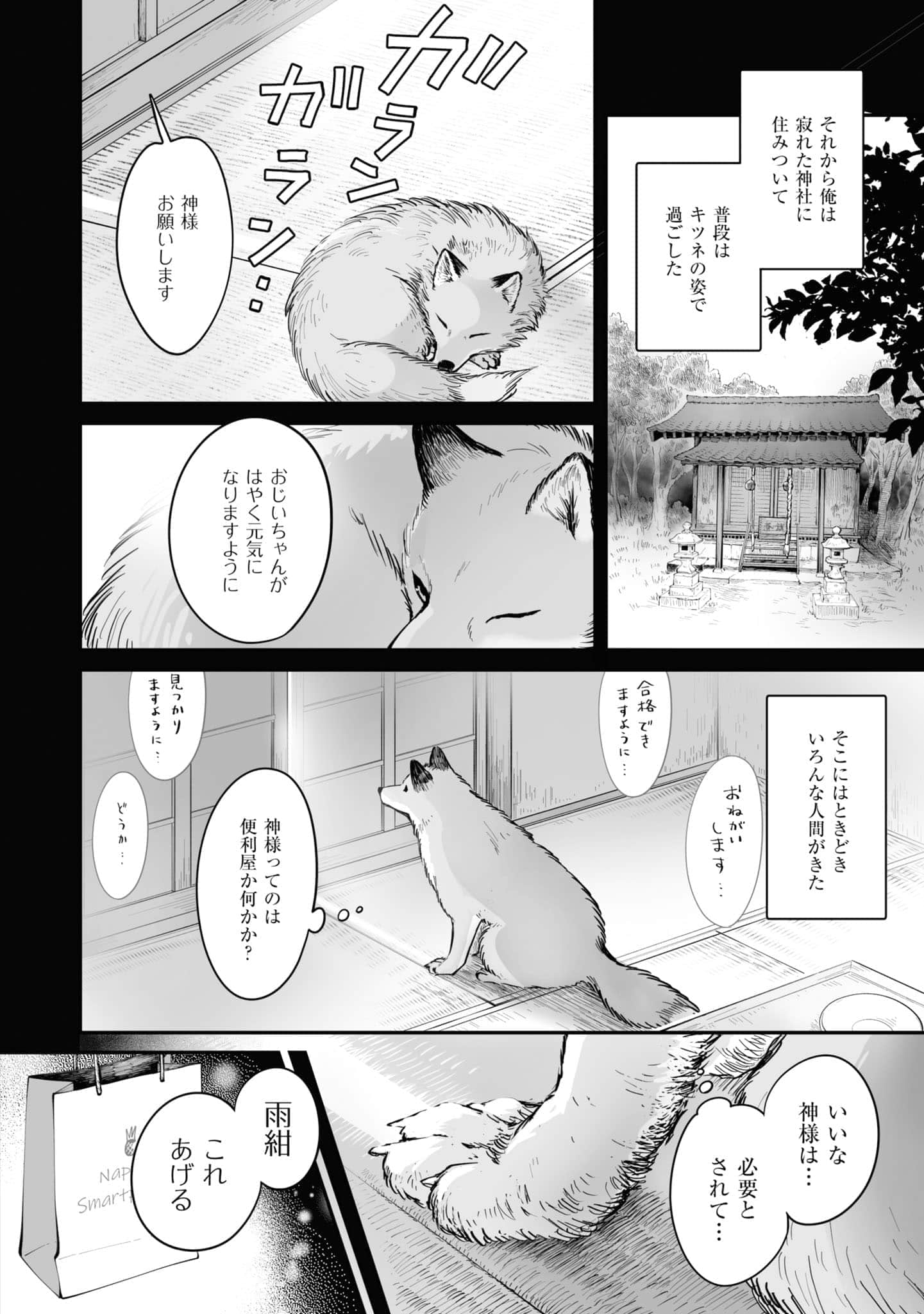 第 51 页