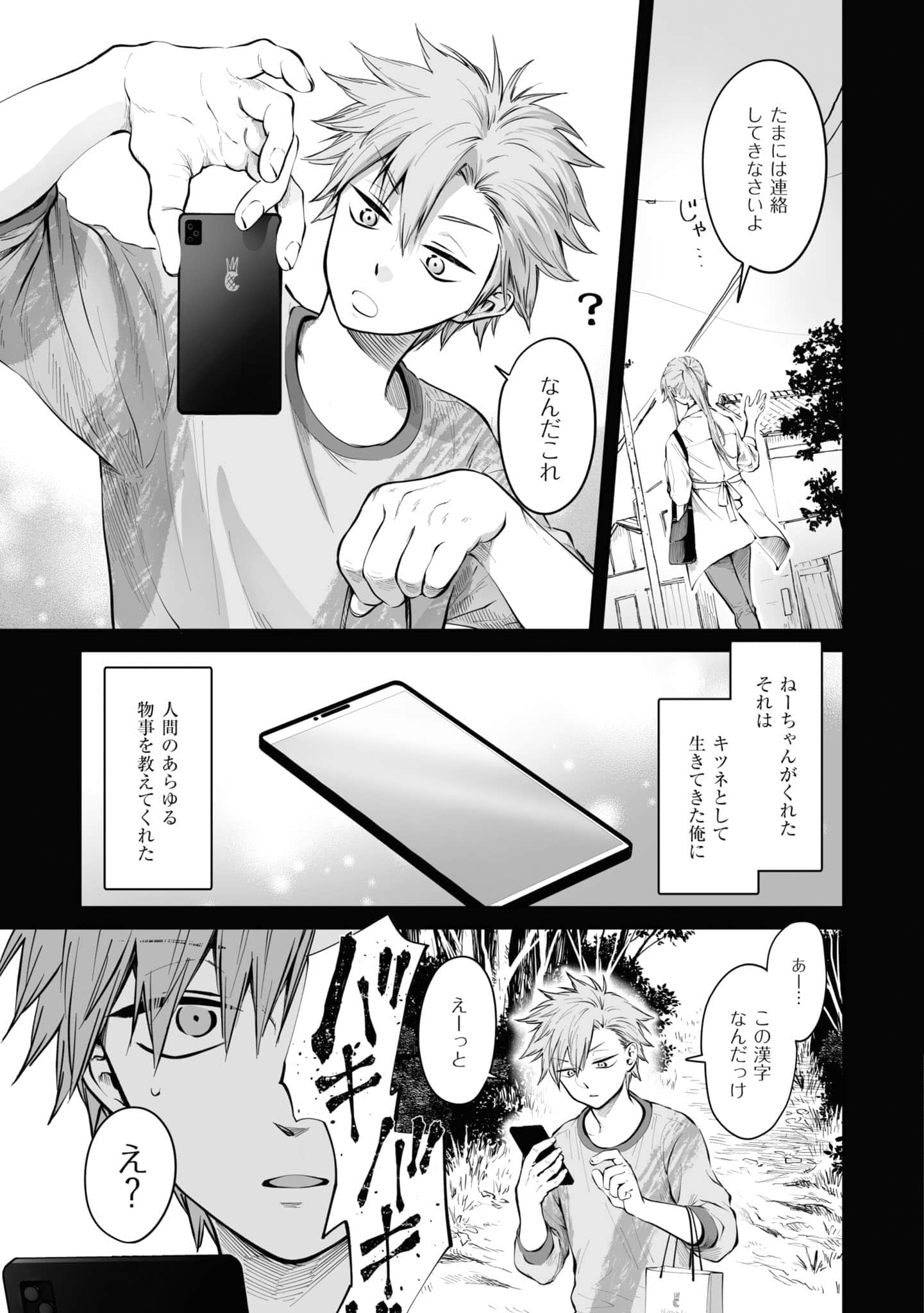 第 52 页