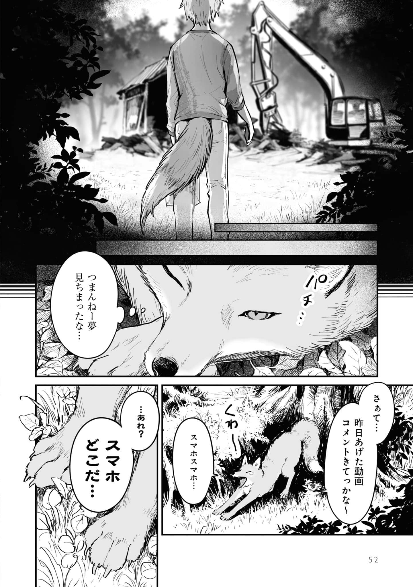 第 53 页