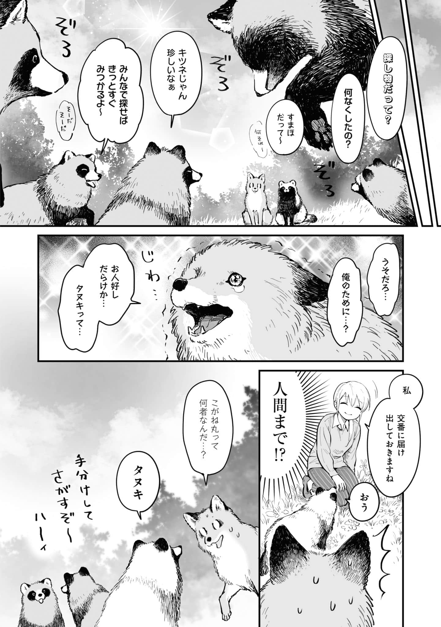 第 55 页