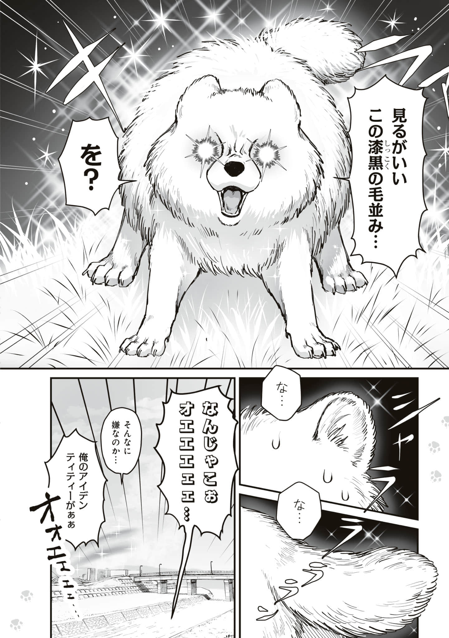 第 45 页