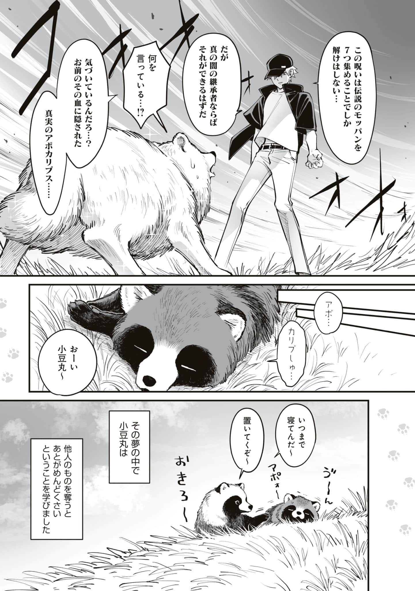第 46 页