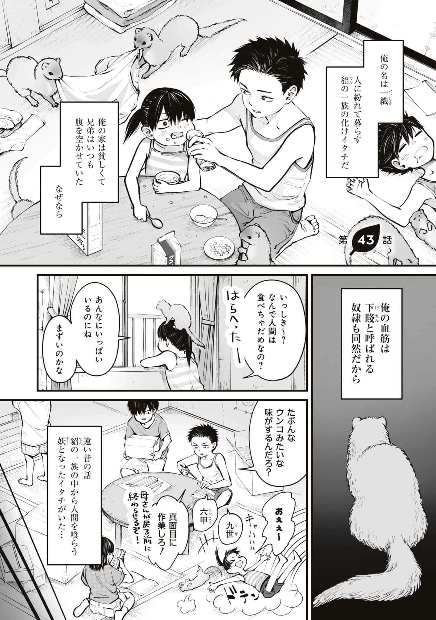 第 48 页