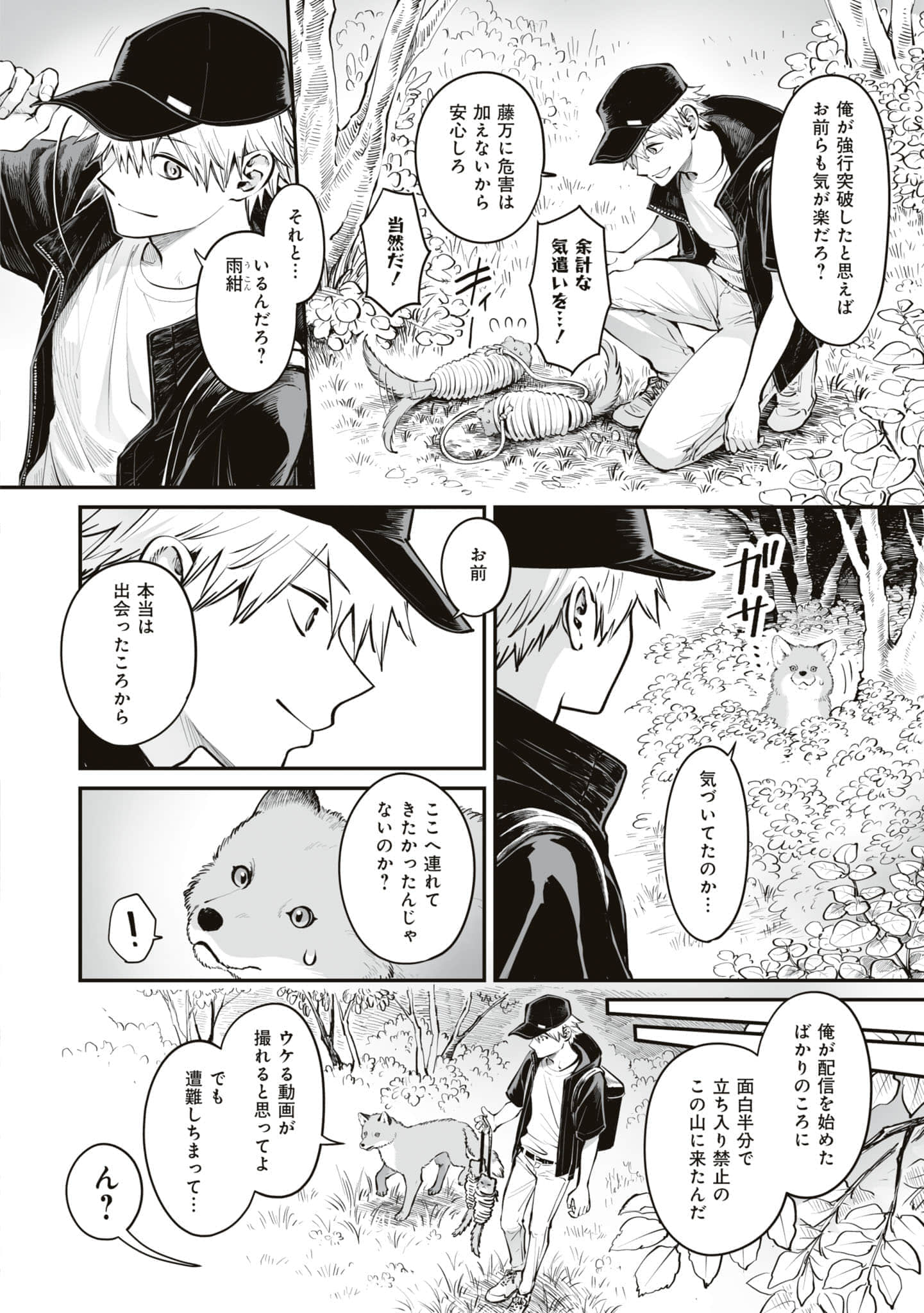 第 61 页