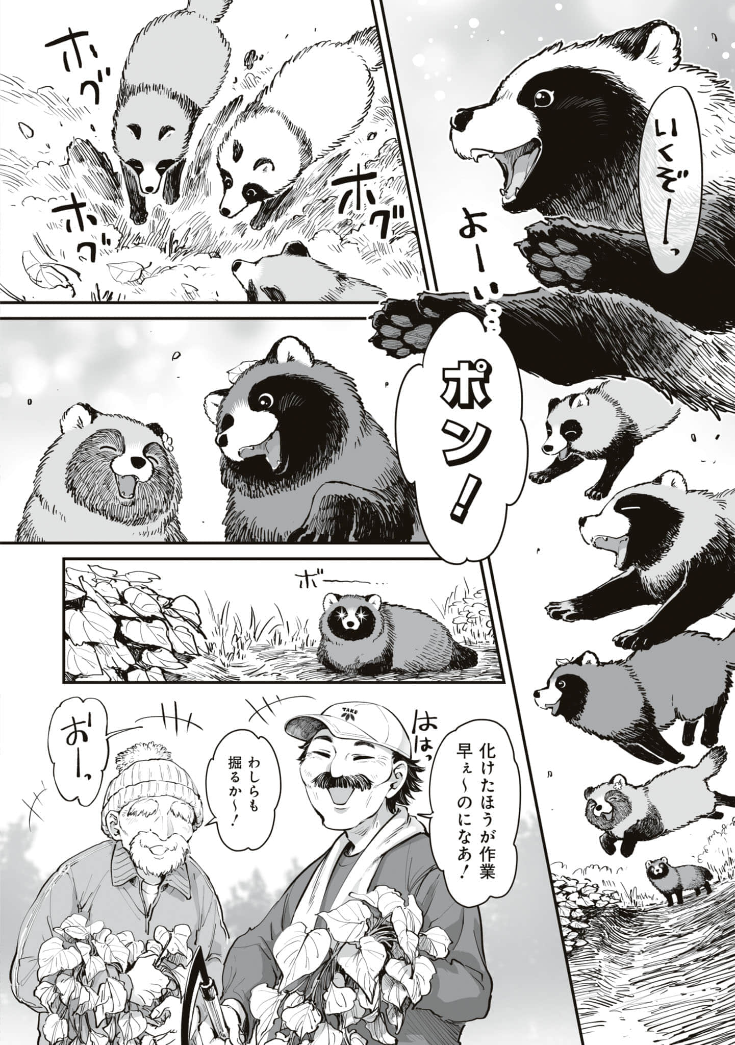 第 77 页