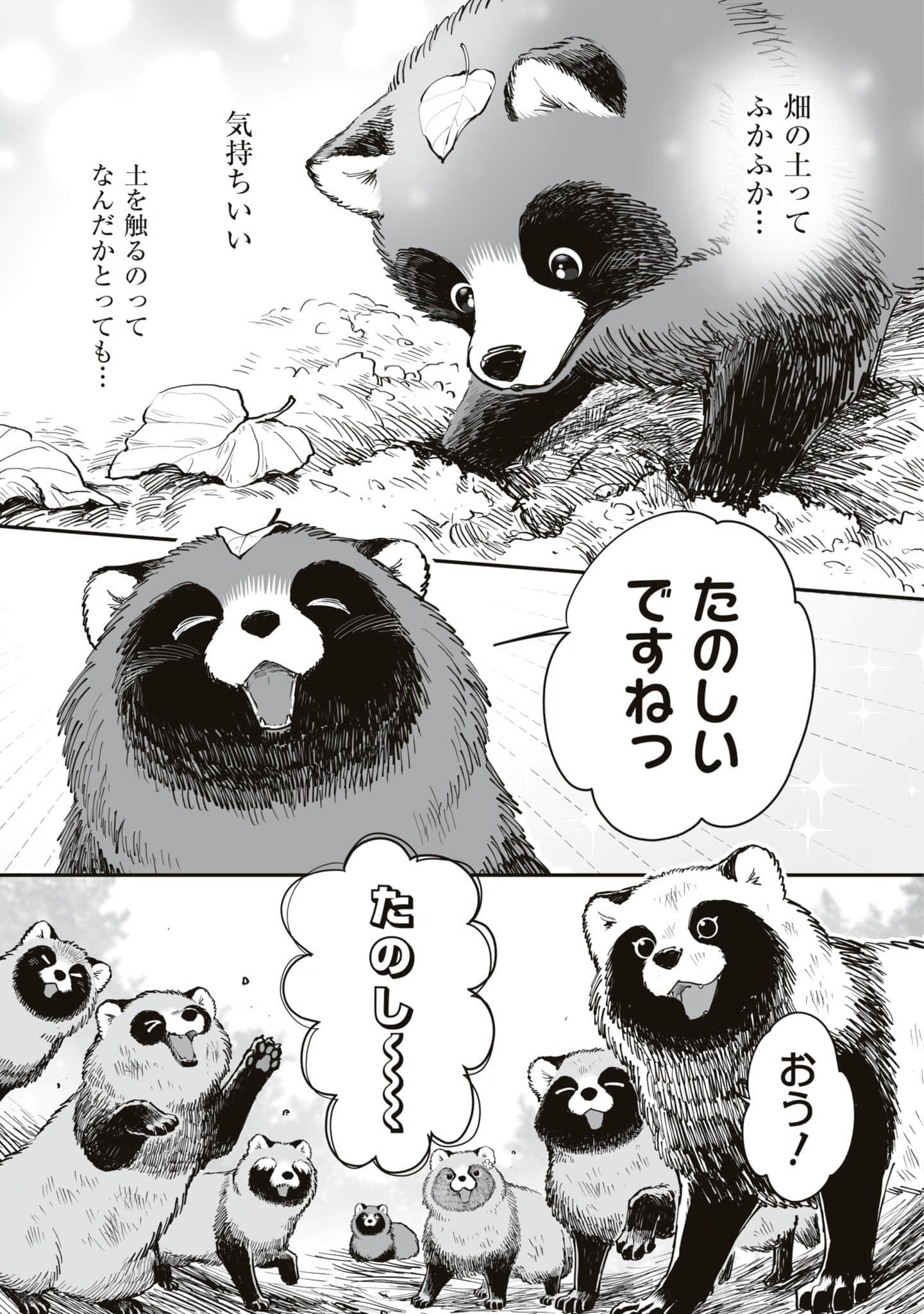 第 78 页