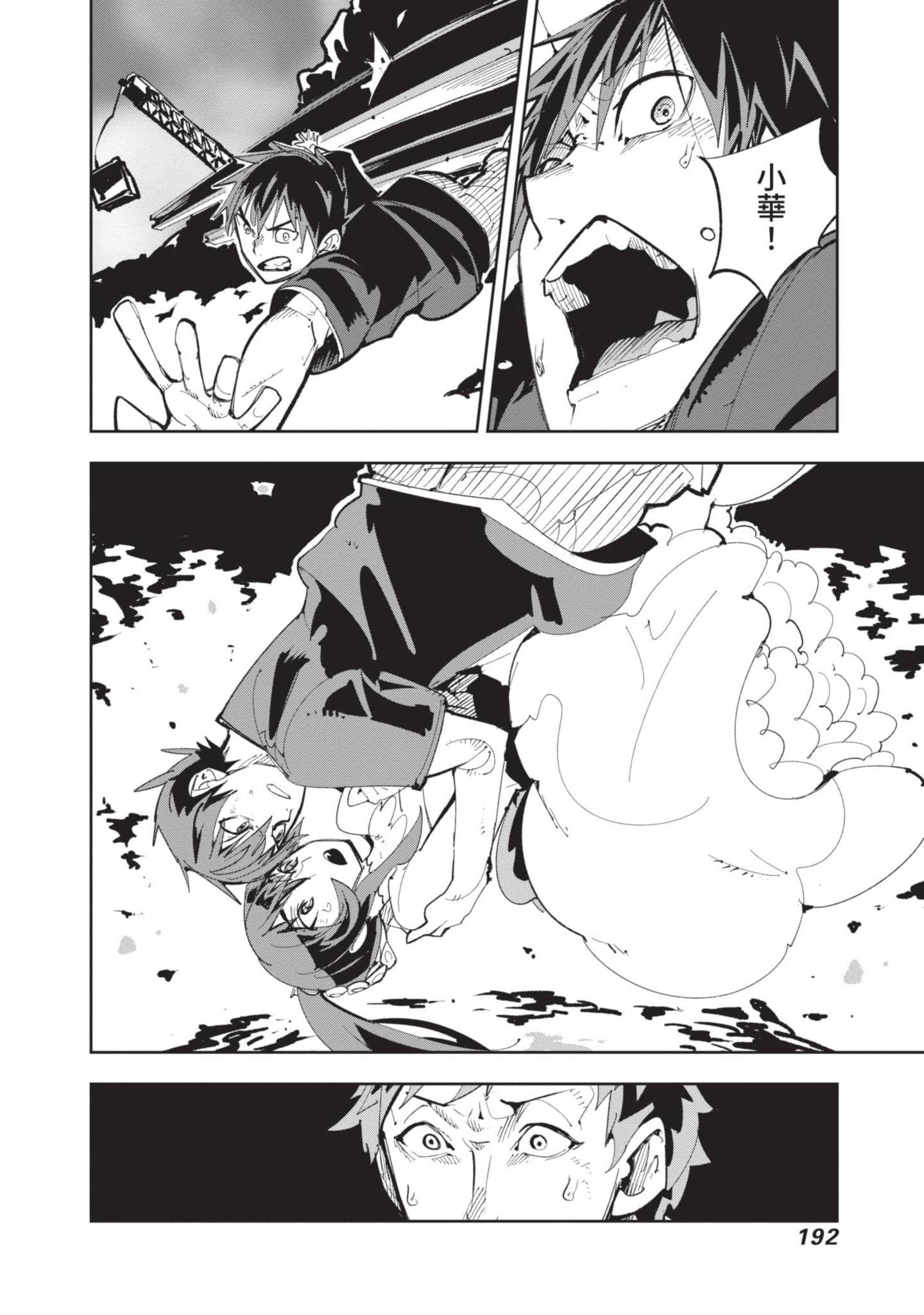 Page 193