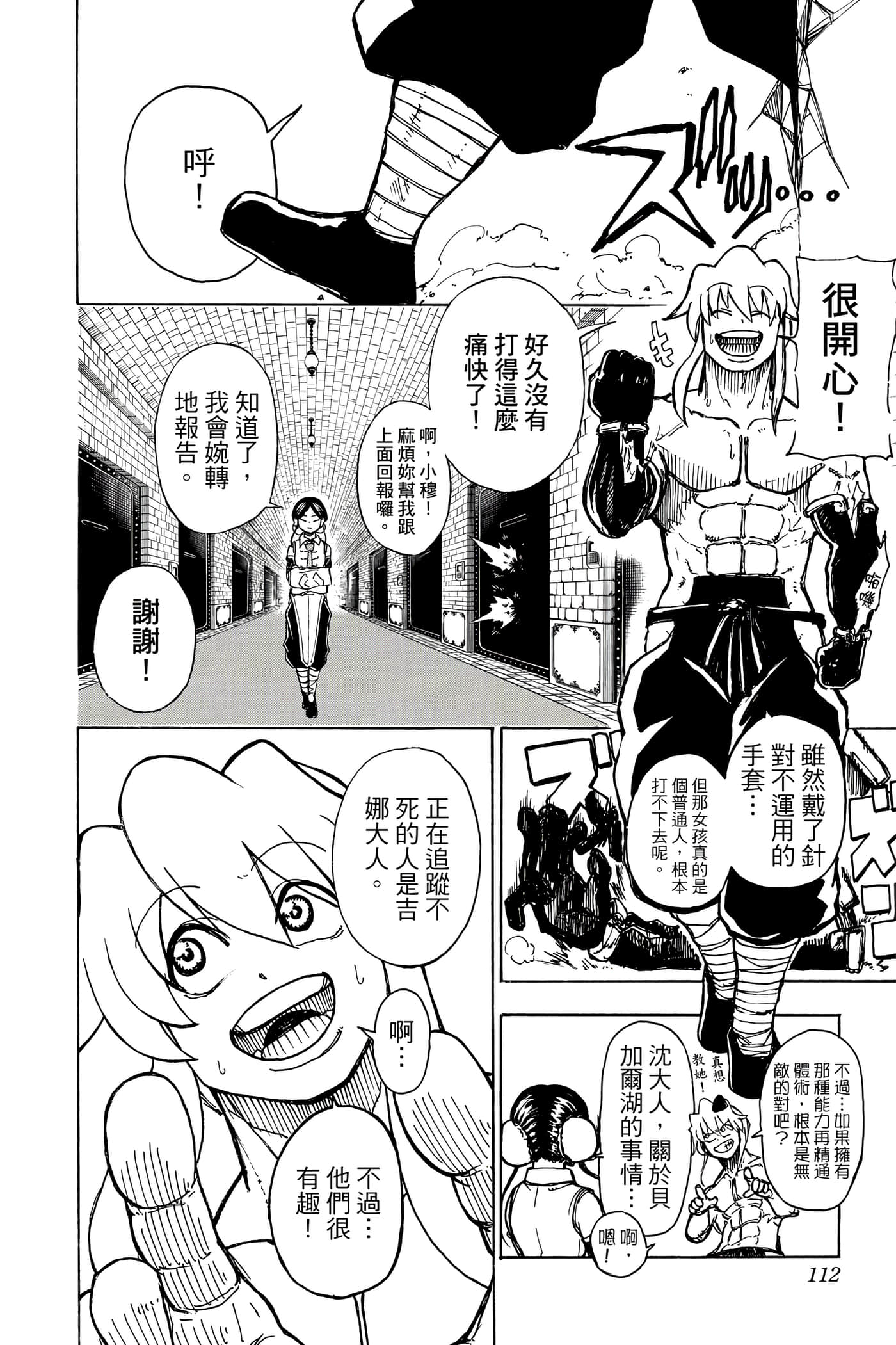 Page 111