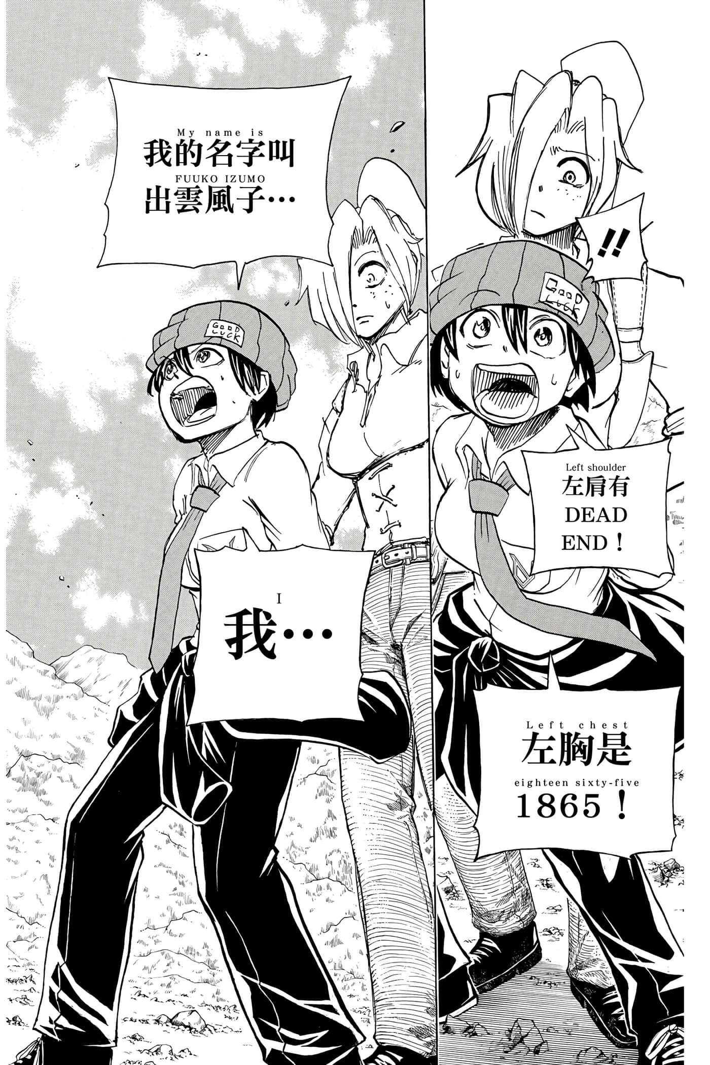 Page 133