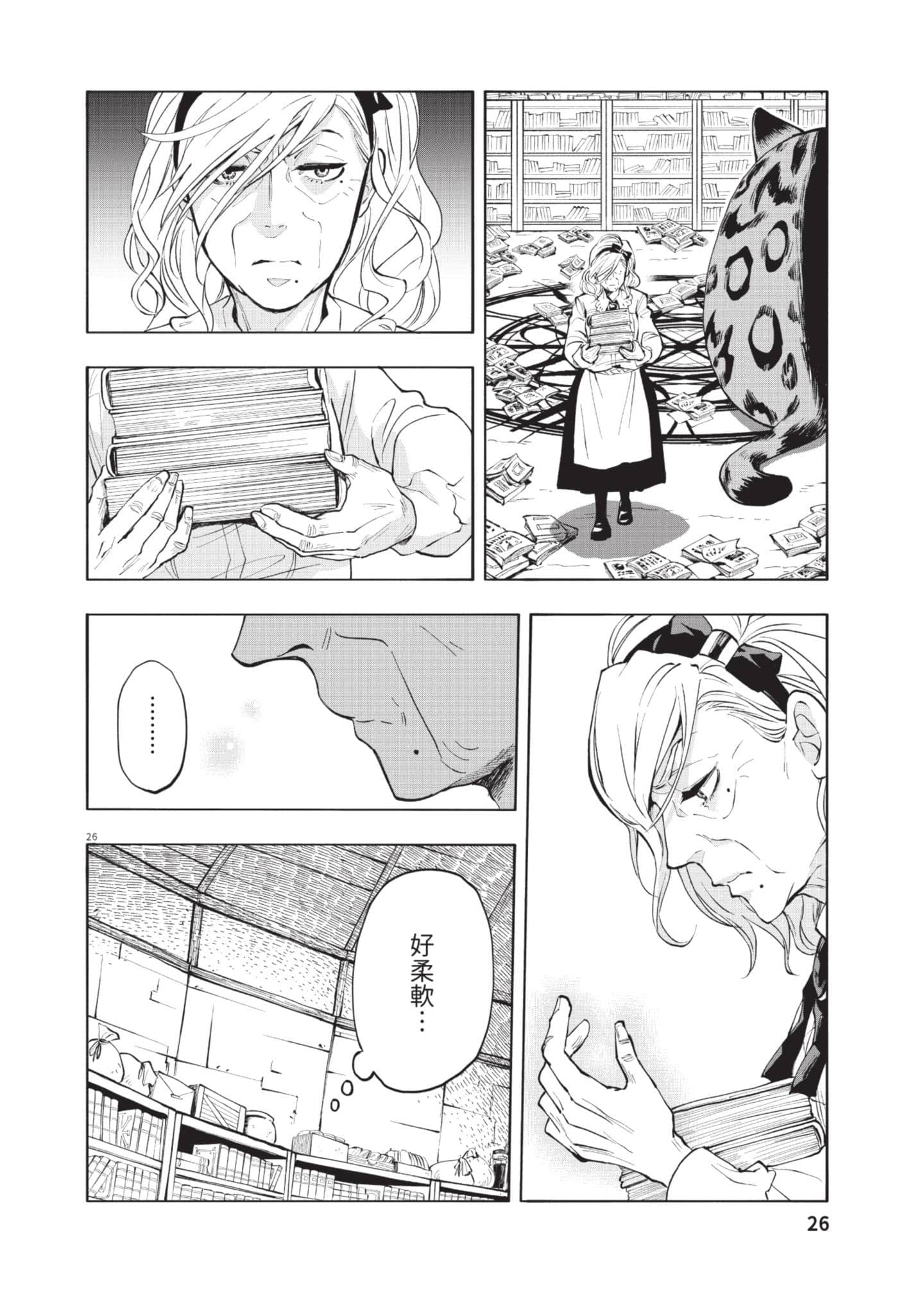 第 27 页
