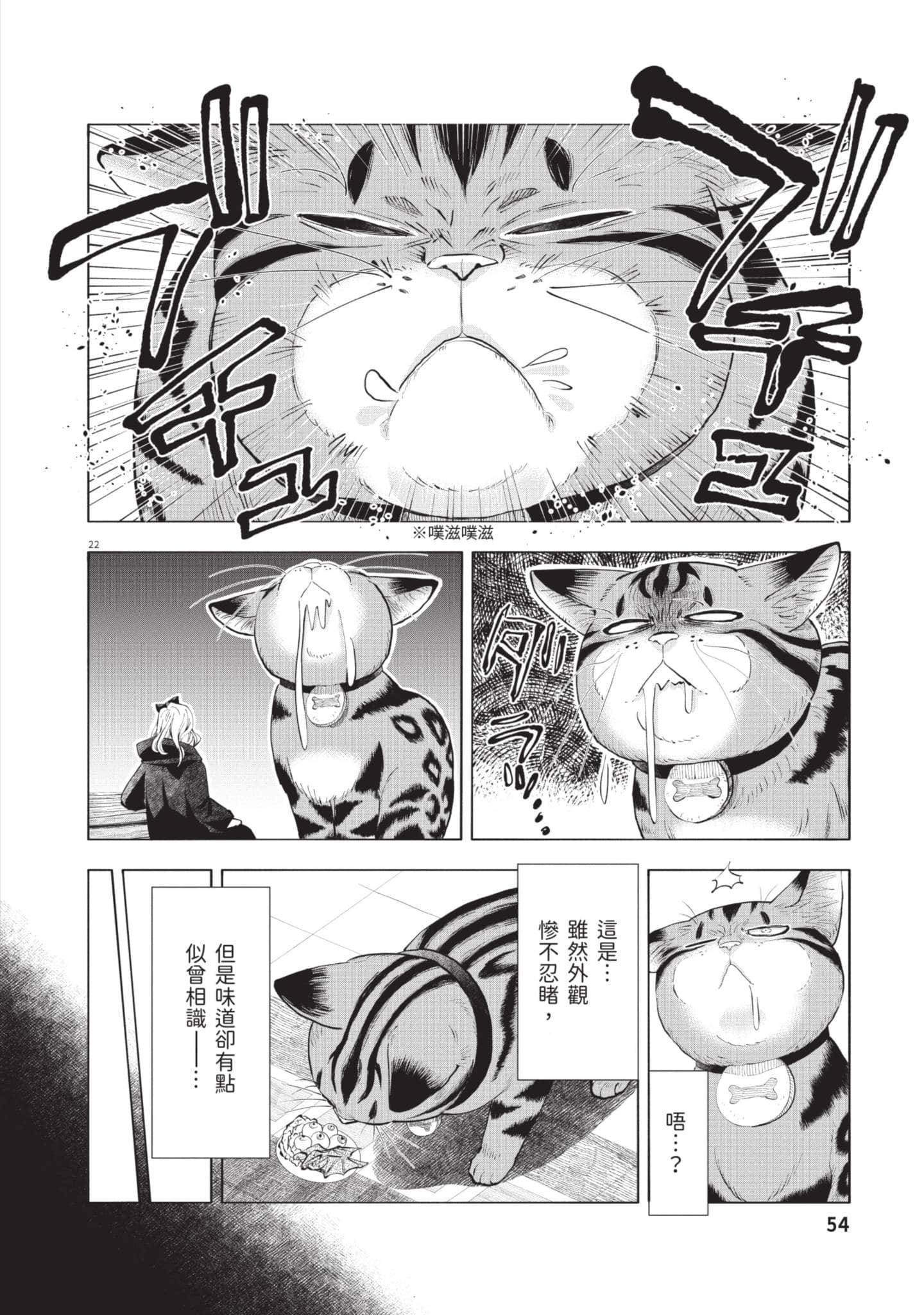 第 55 页