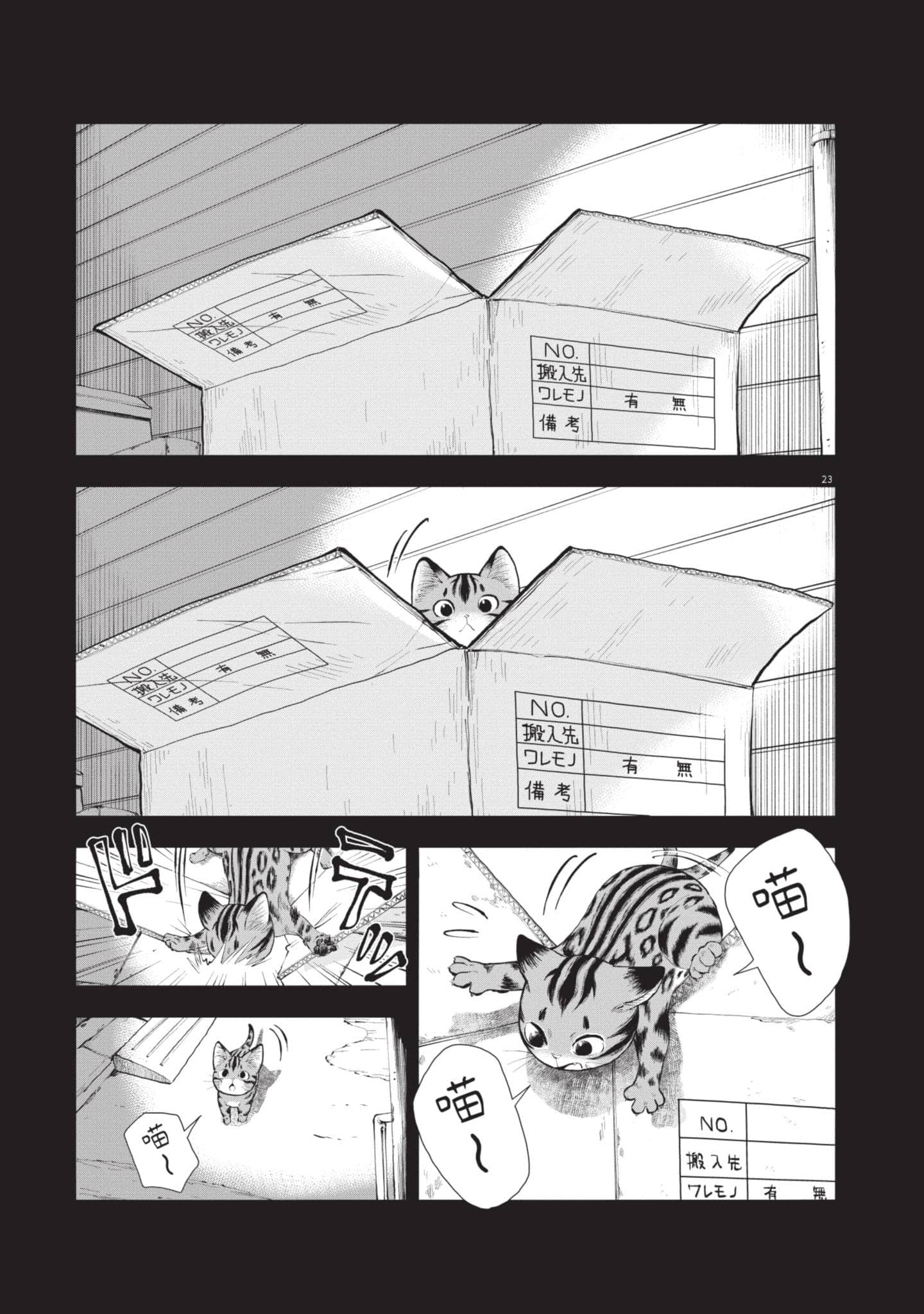 第 56 页