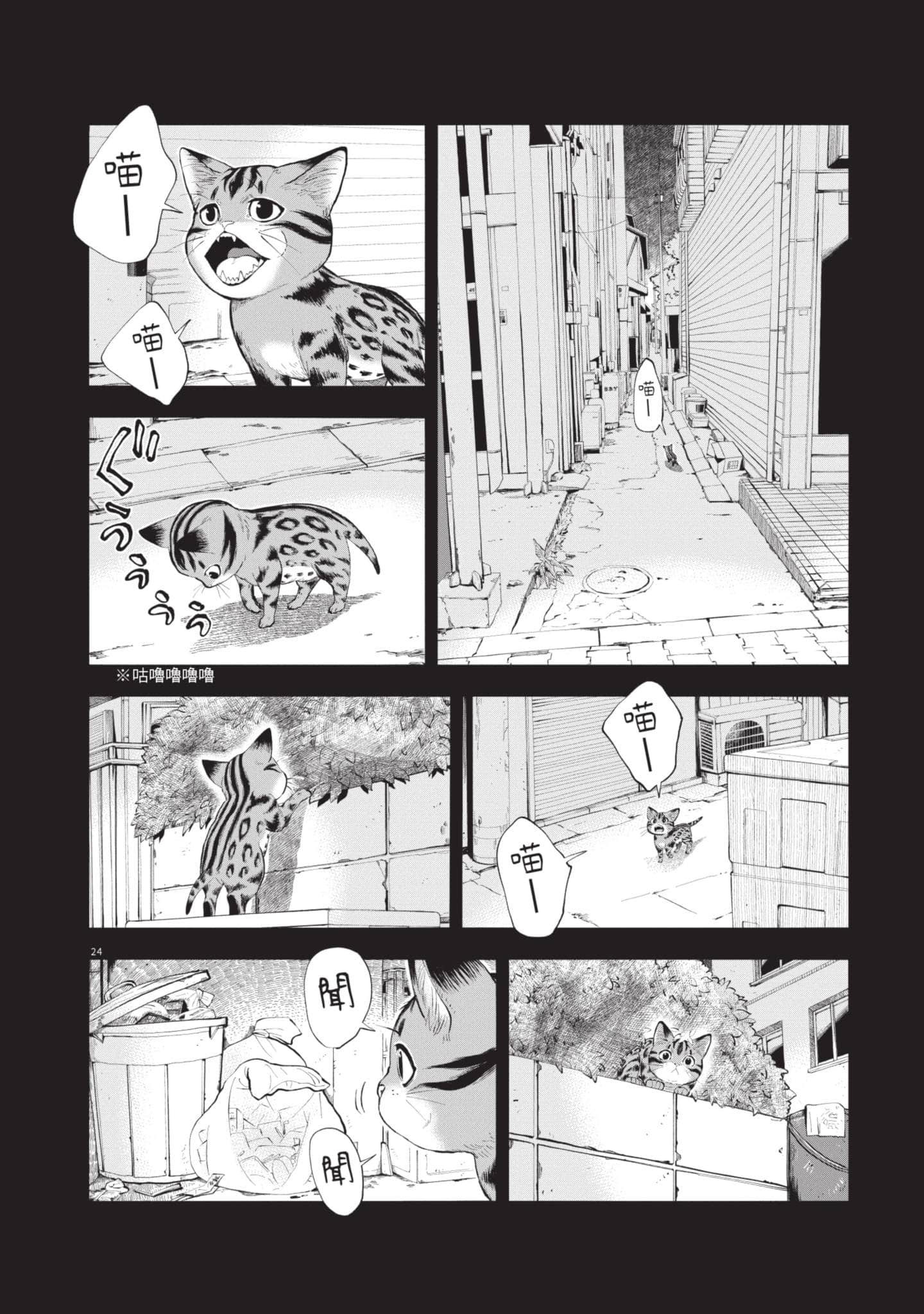 第 57 页