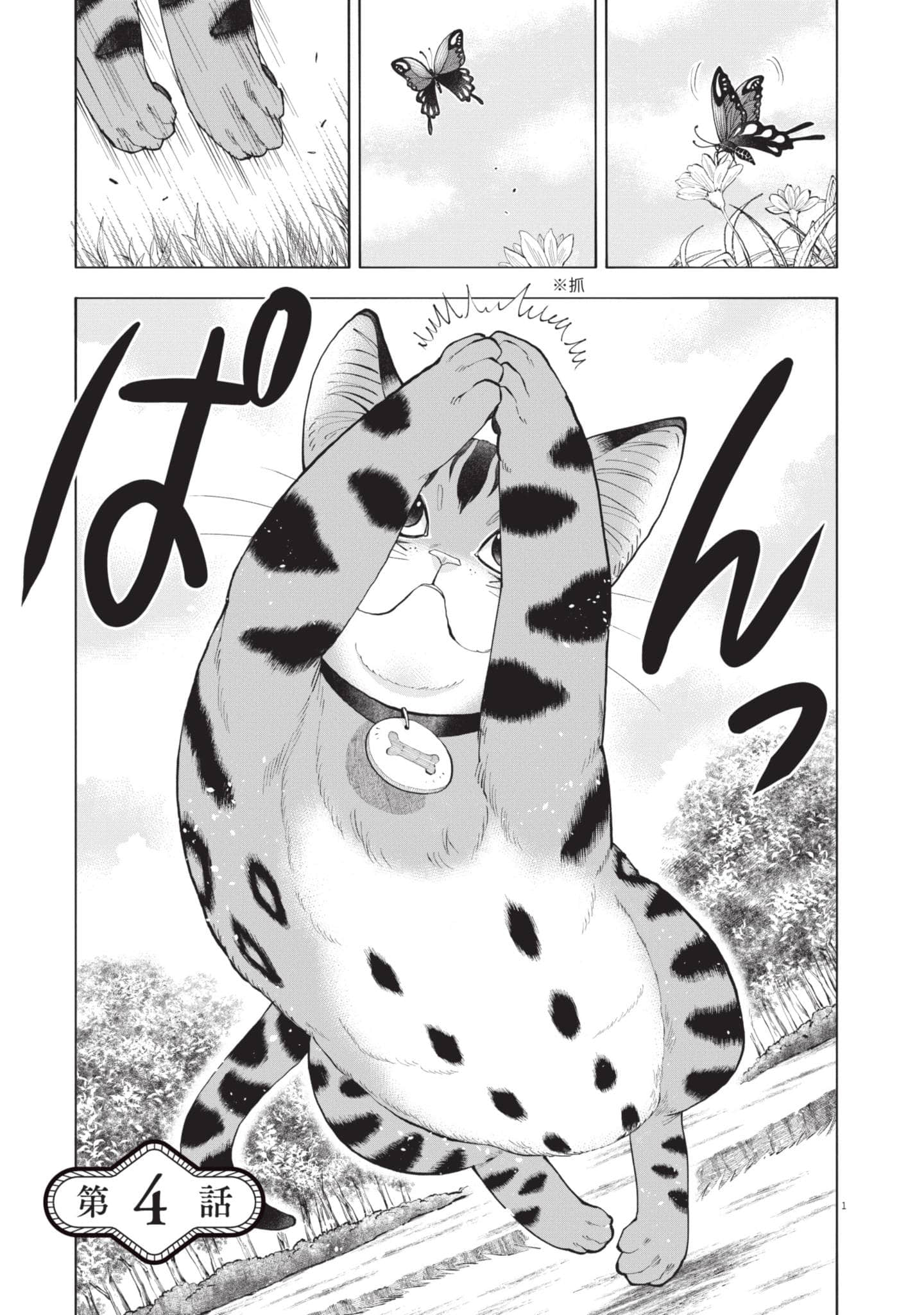 第 82 页