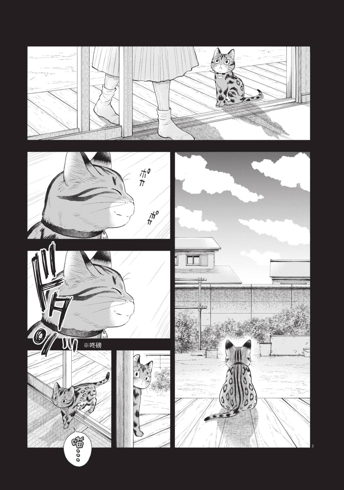 第 135 页