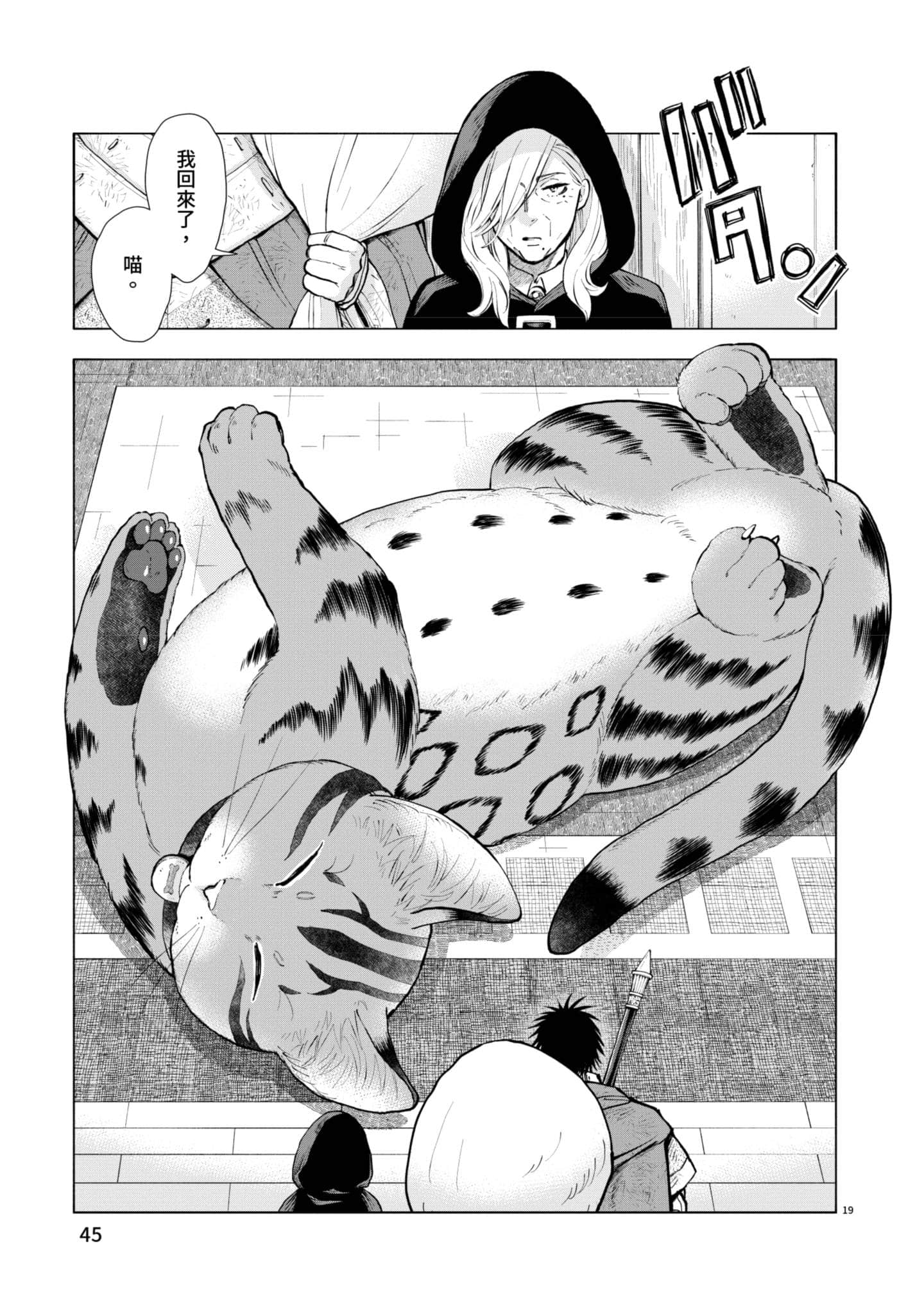 第 46 页