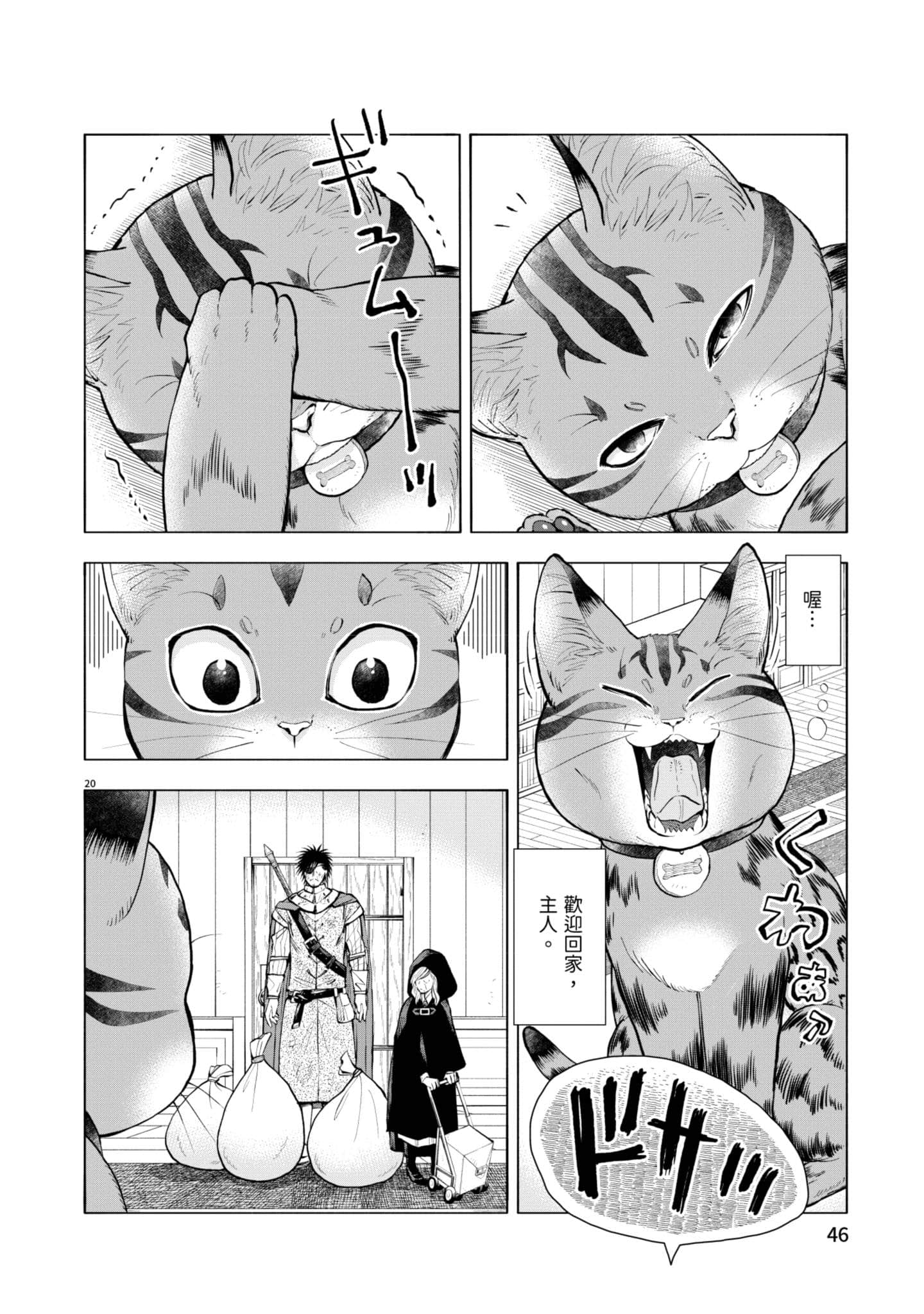 第 47 页