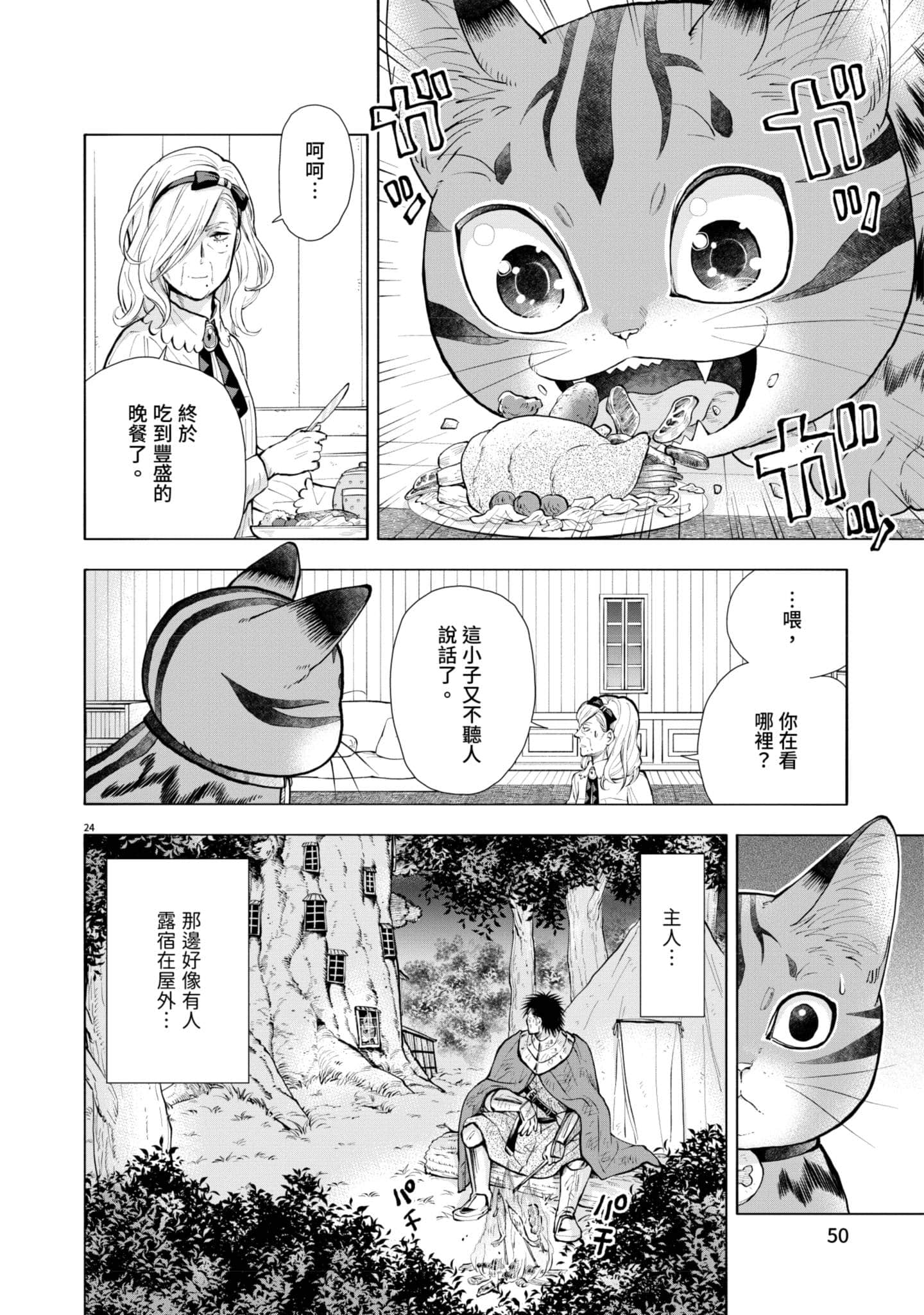 第 51 页