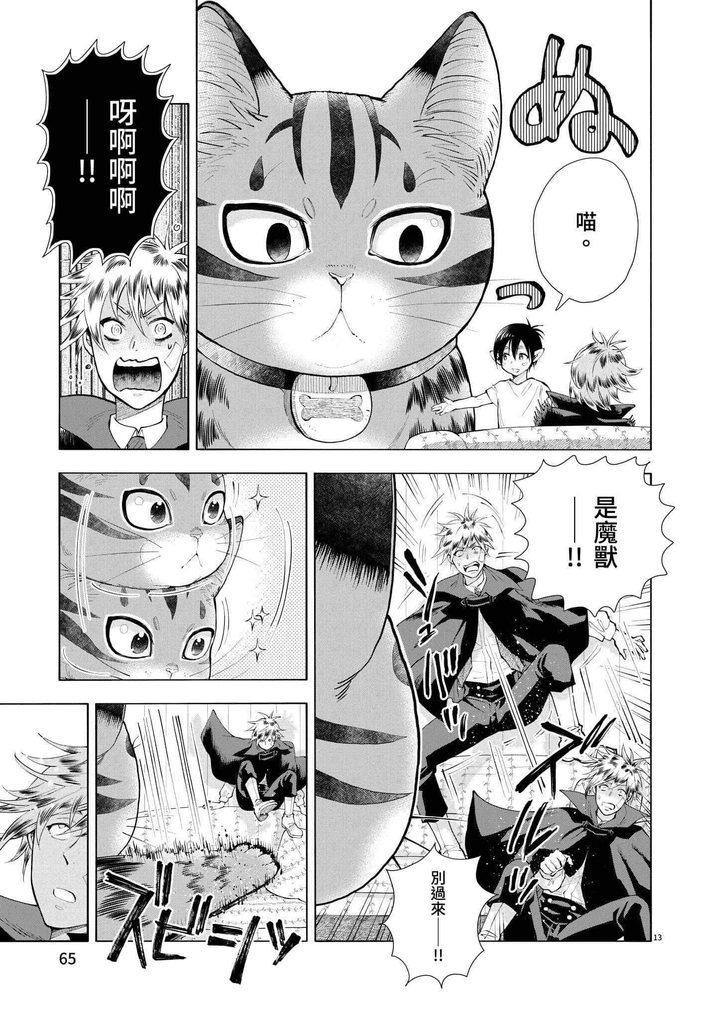 第 66 页