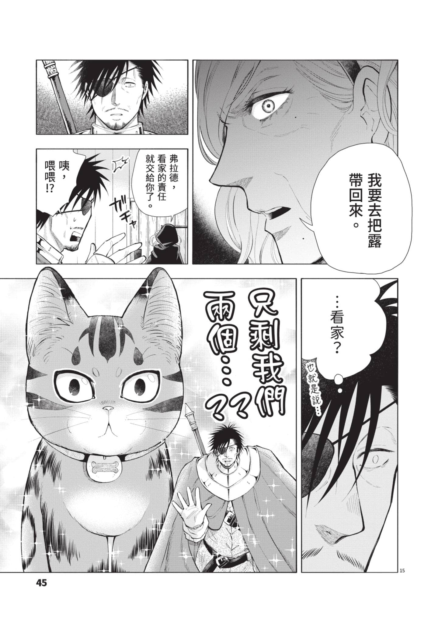 第 46 页
