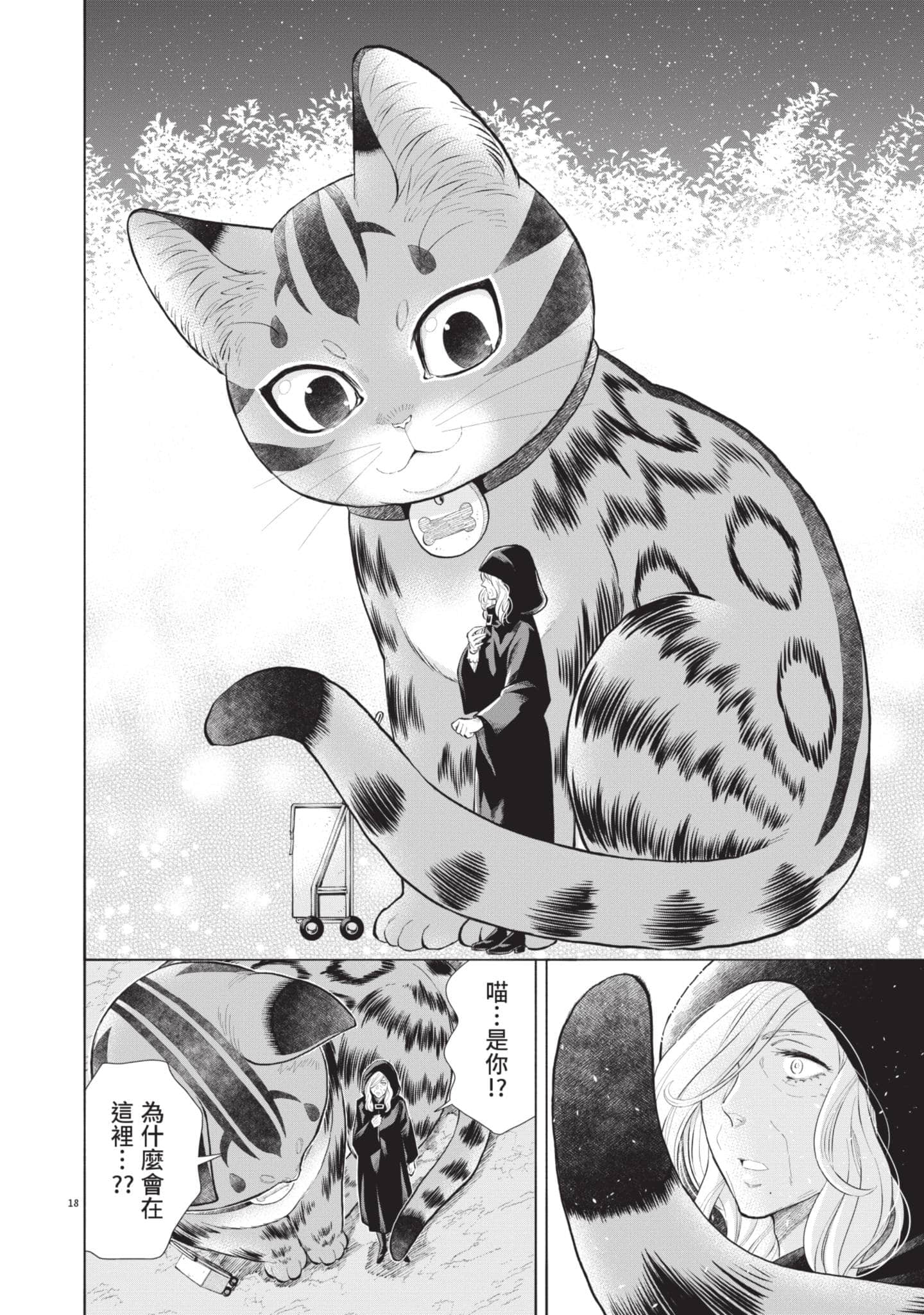 第 49 页