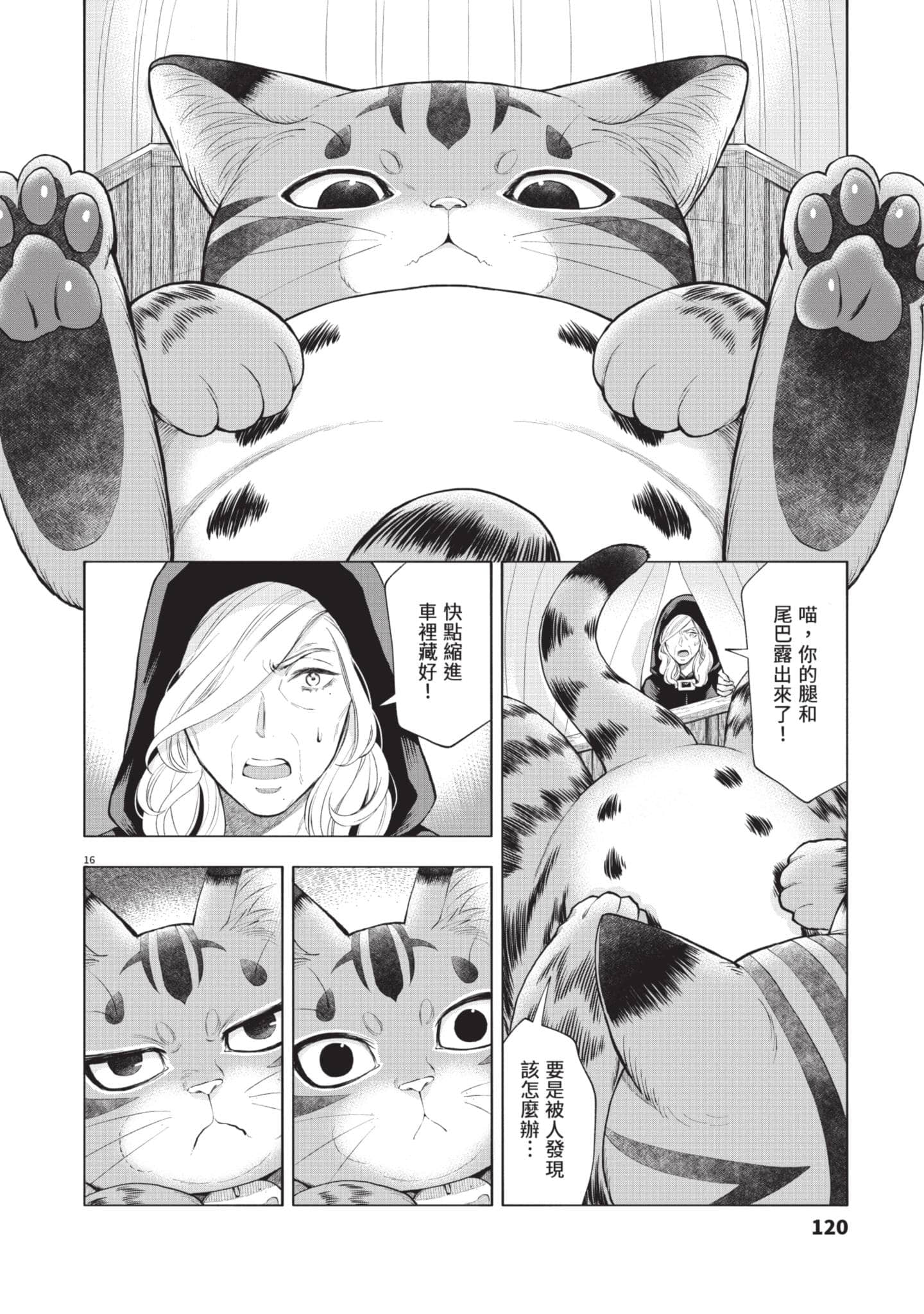 第 121 页