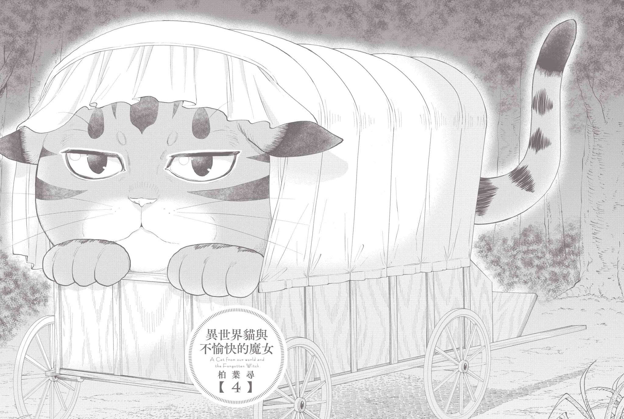 第 161 页