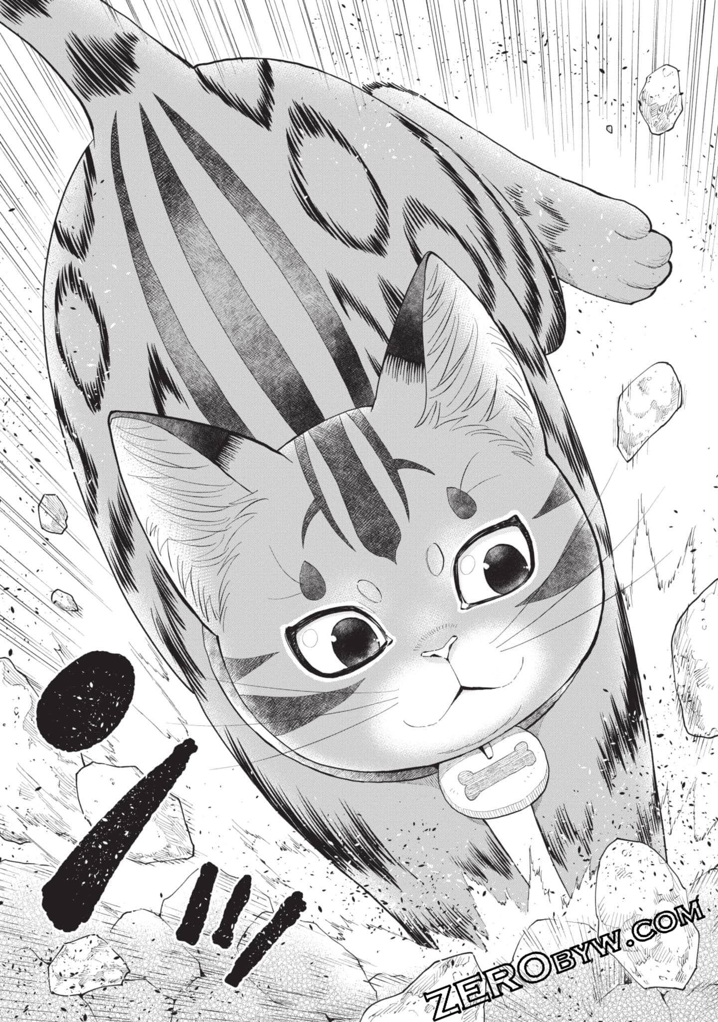 第 156 页