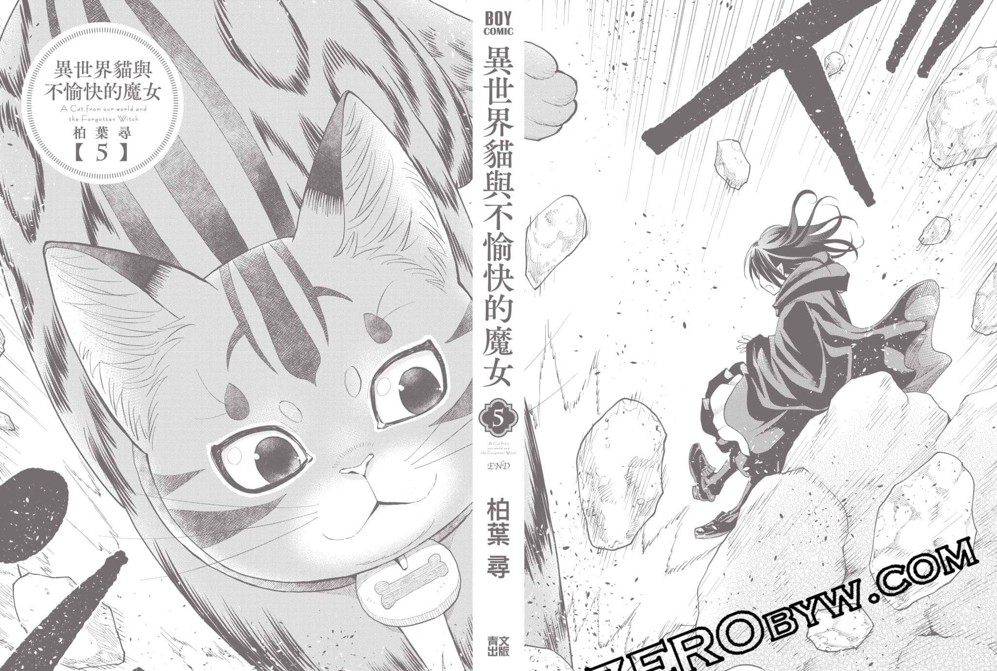 第 193 页