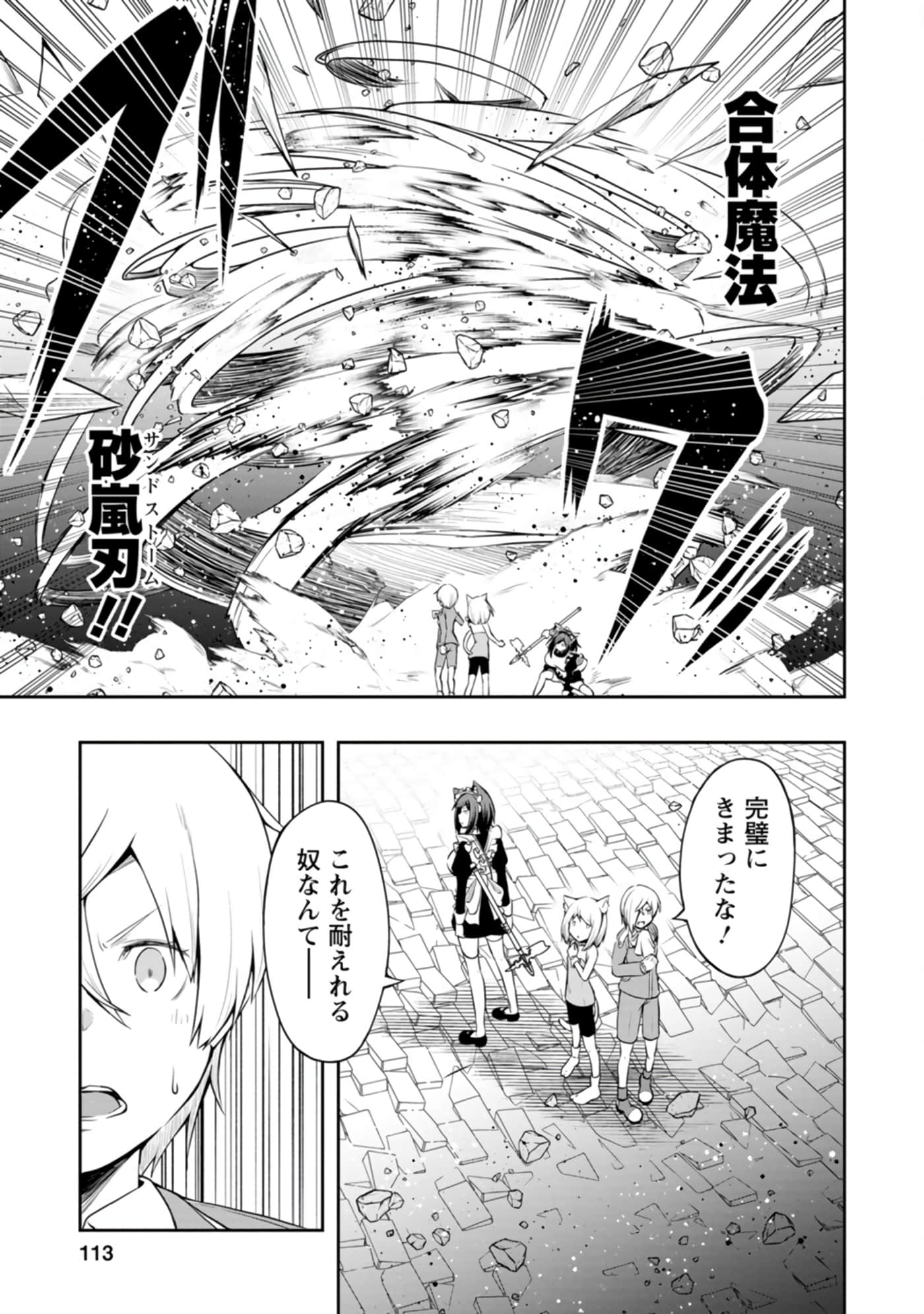 Page 113