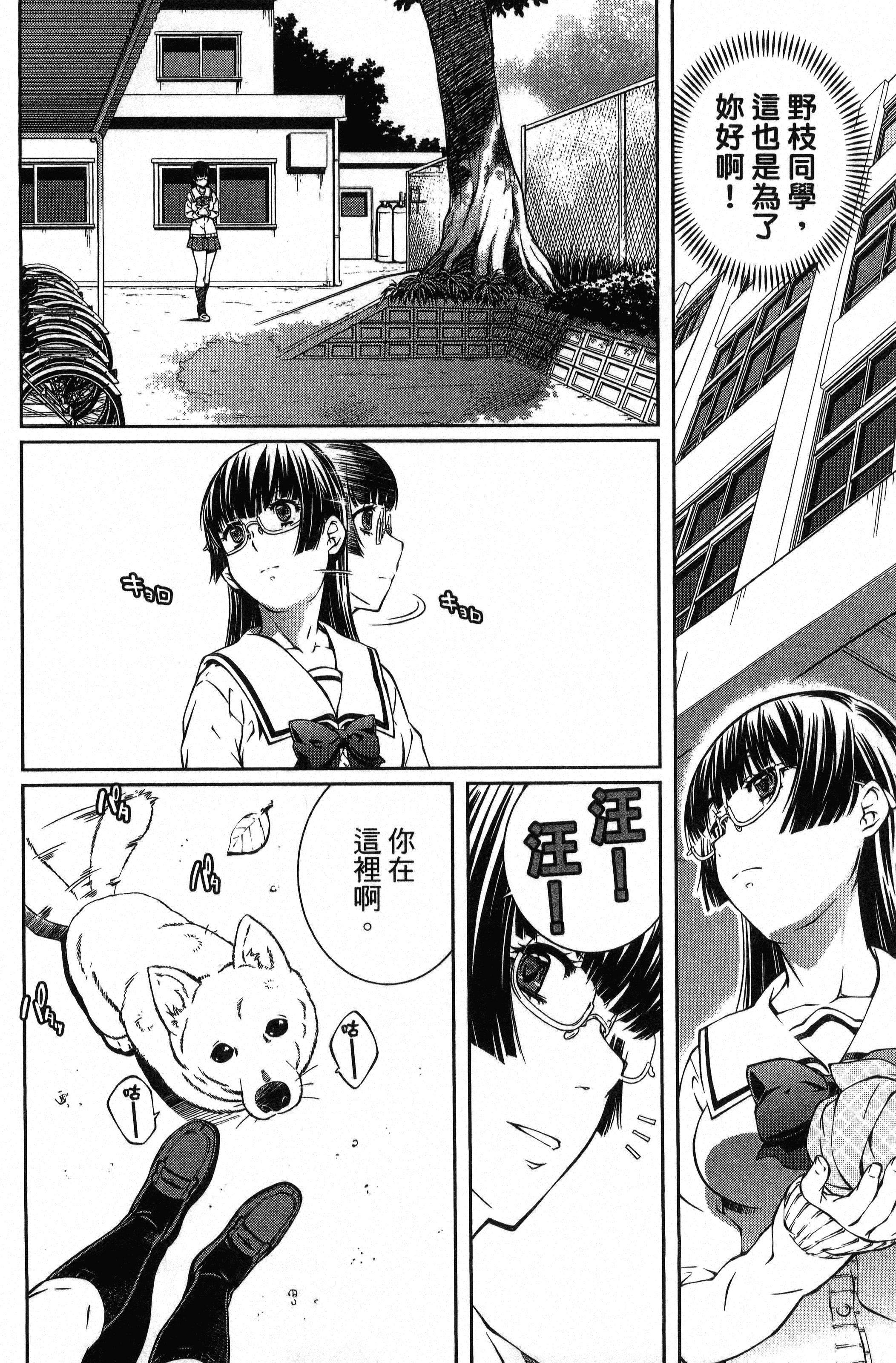 Page 146