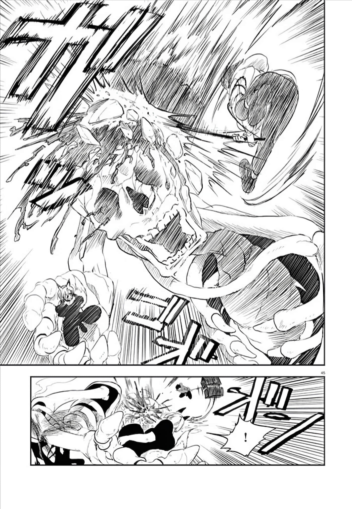 Page 45
