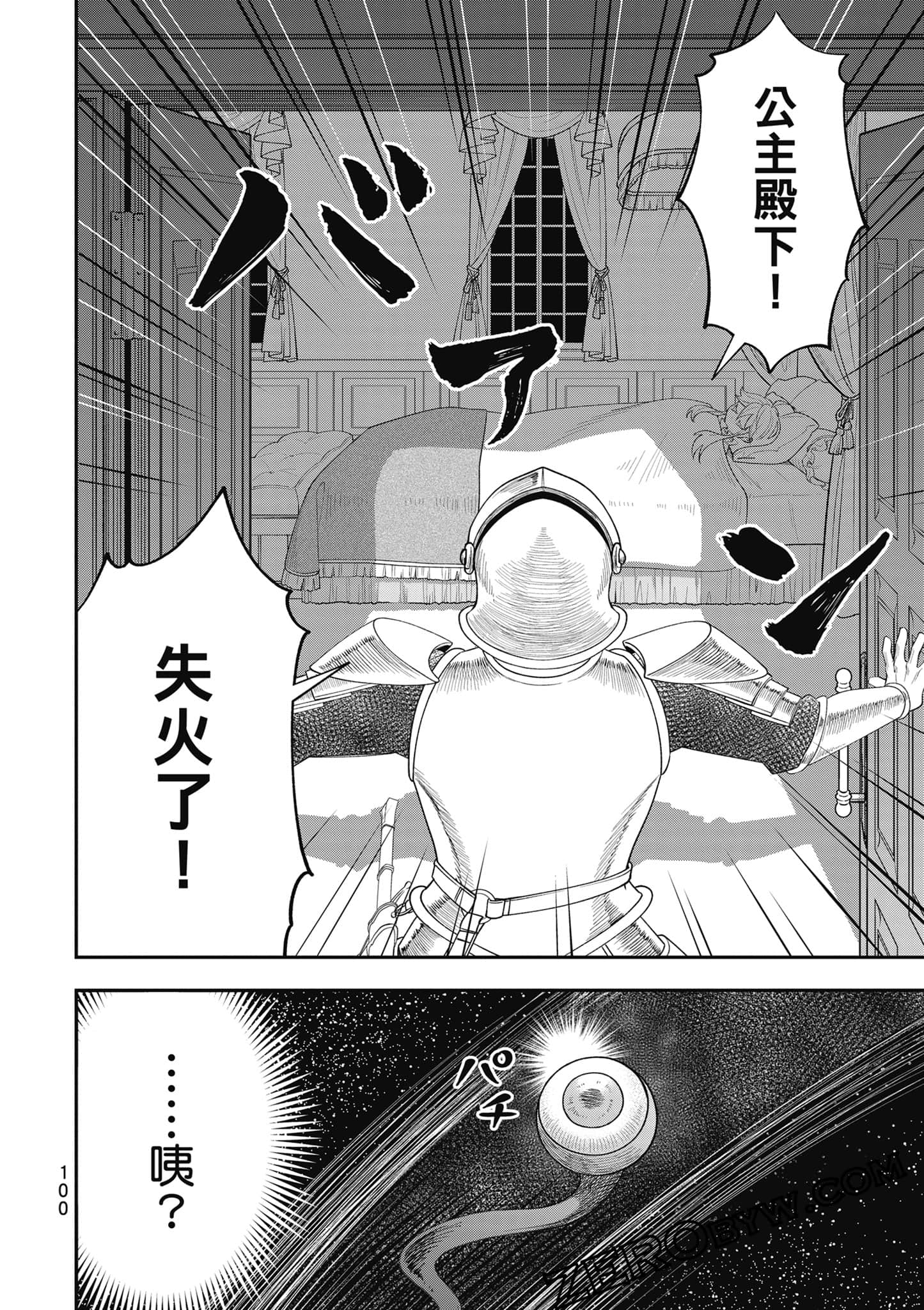 Page 101