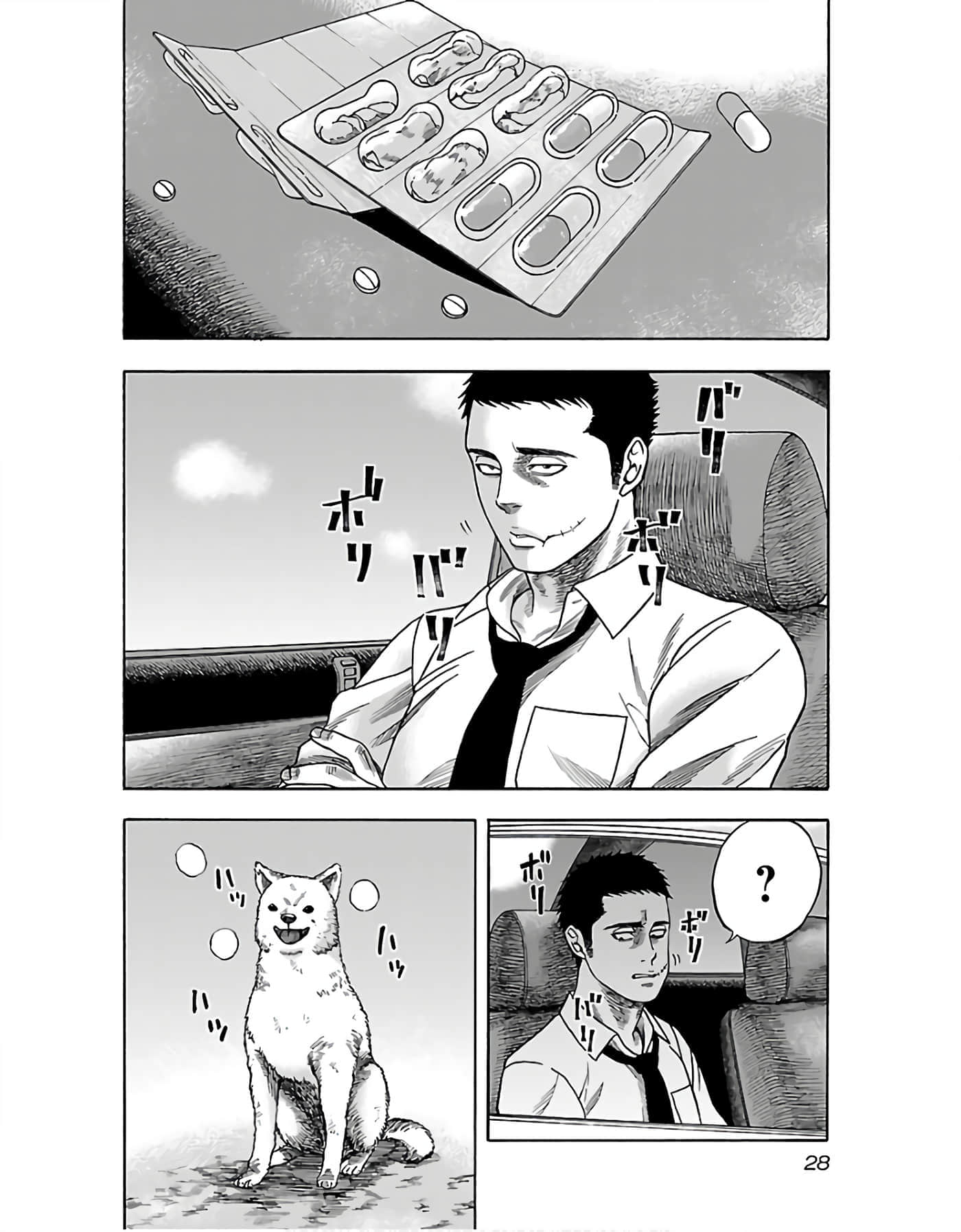 第 30 页