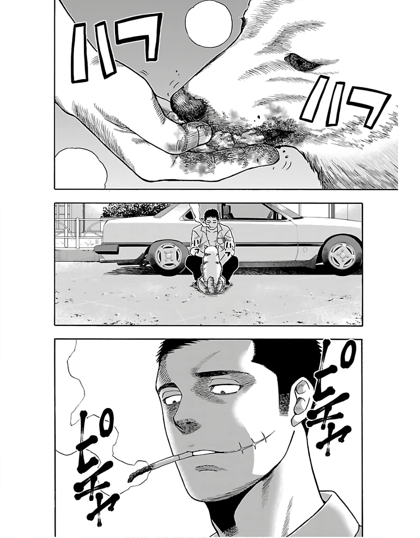第 34 页