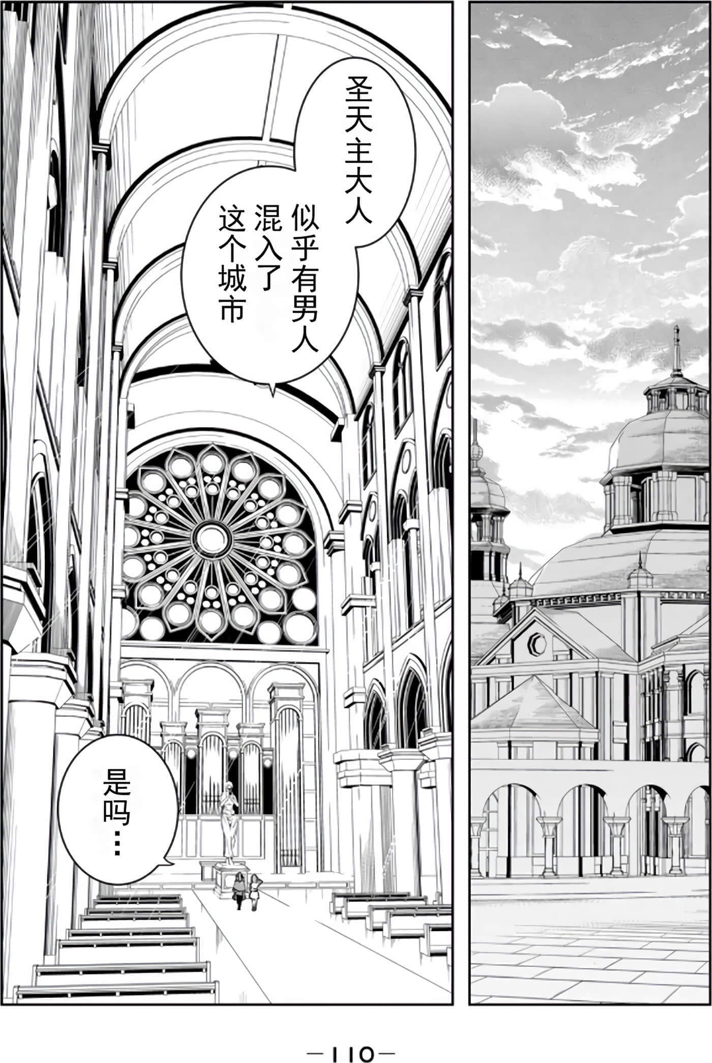 第 111 页