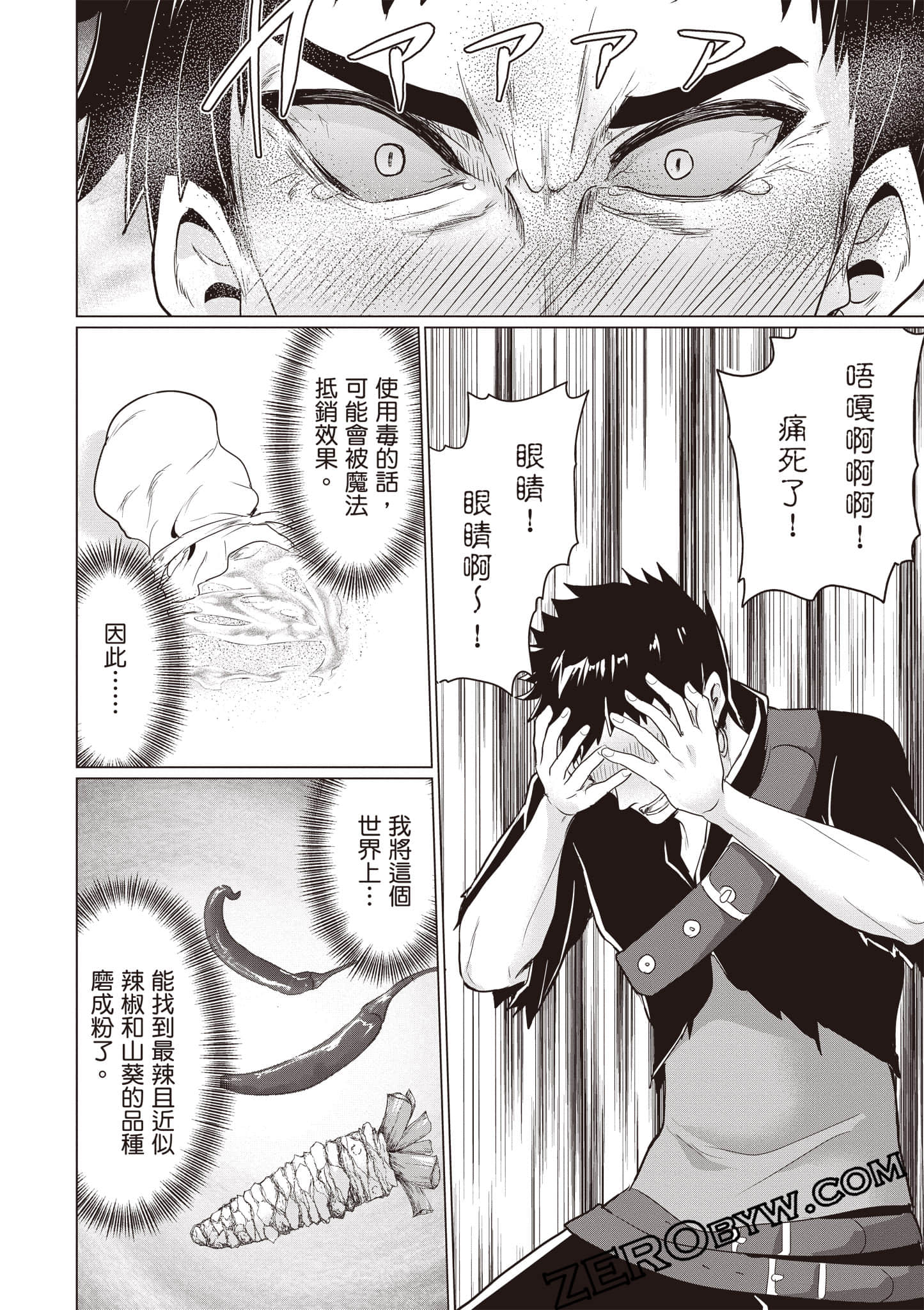 第 99 页