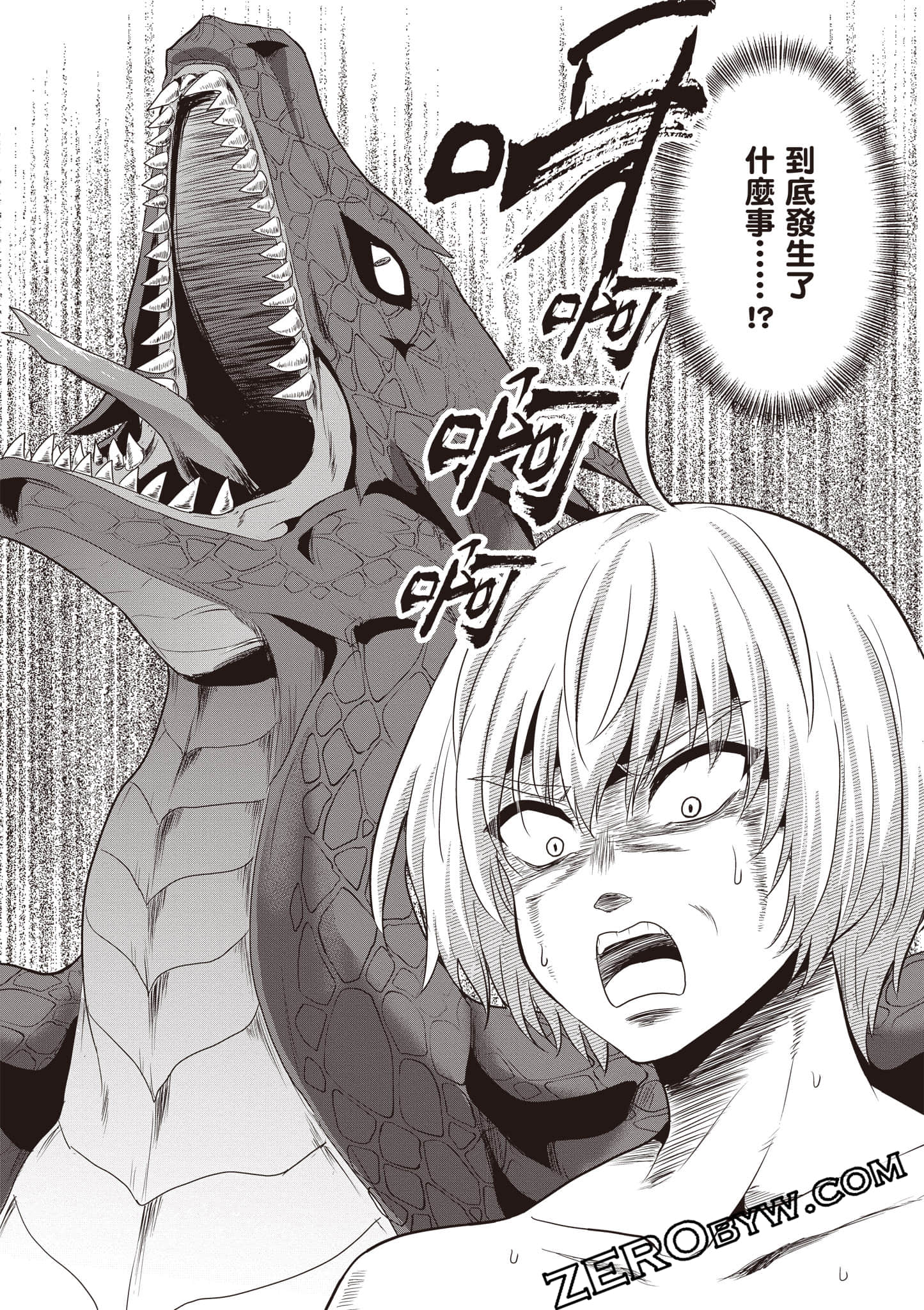 第 117 页