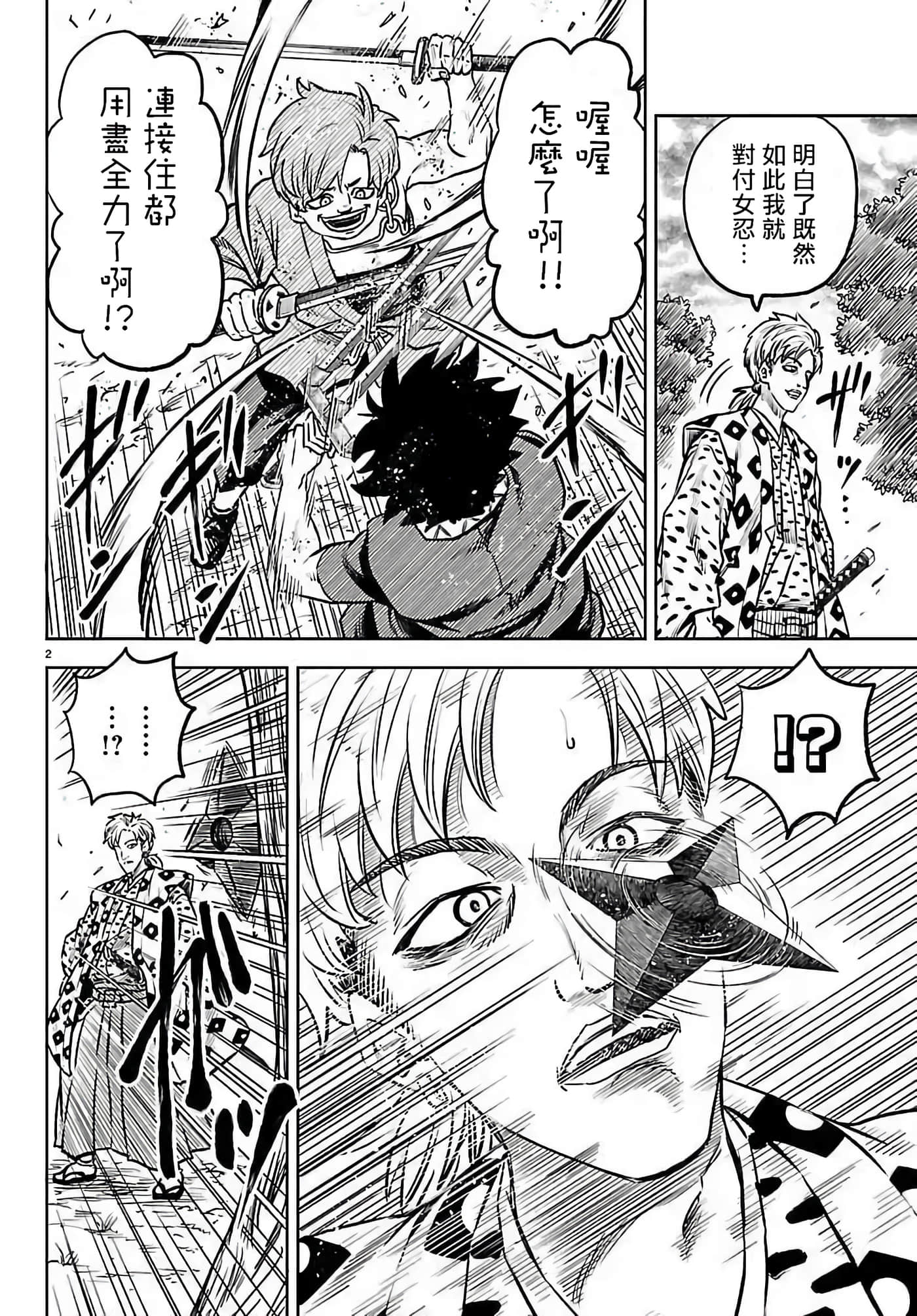 第 2 页