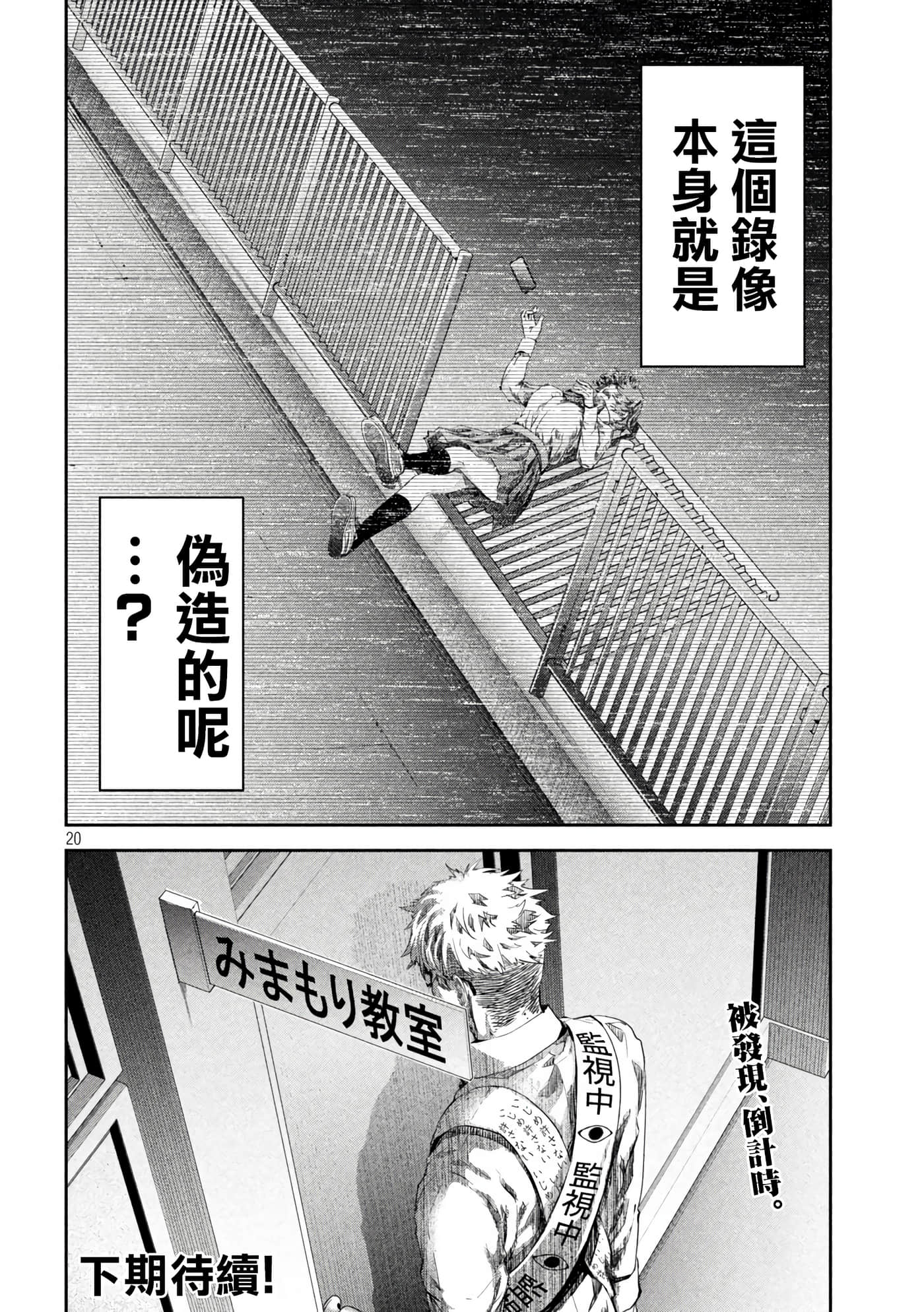 第 20 页
