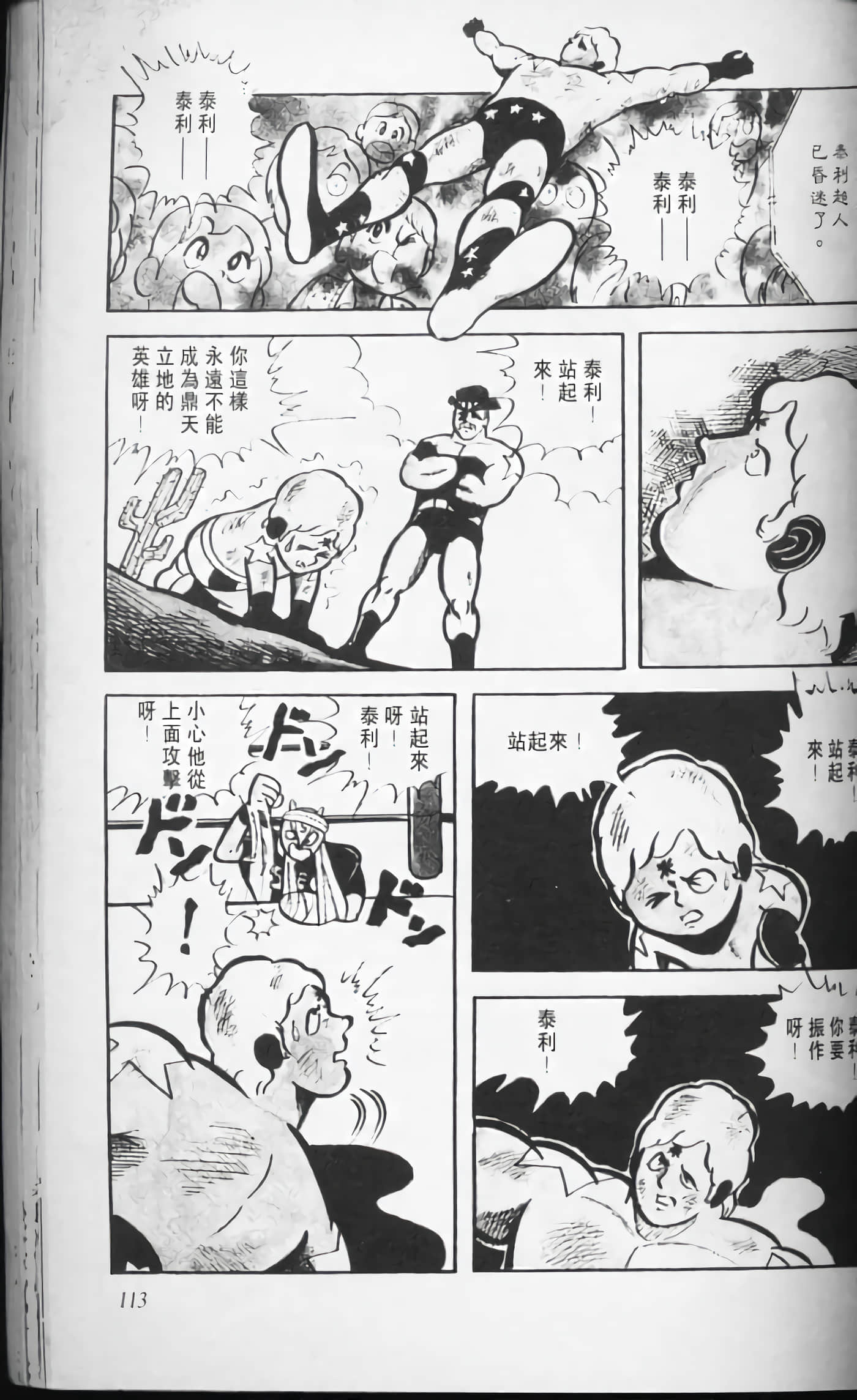 第 113 页